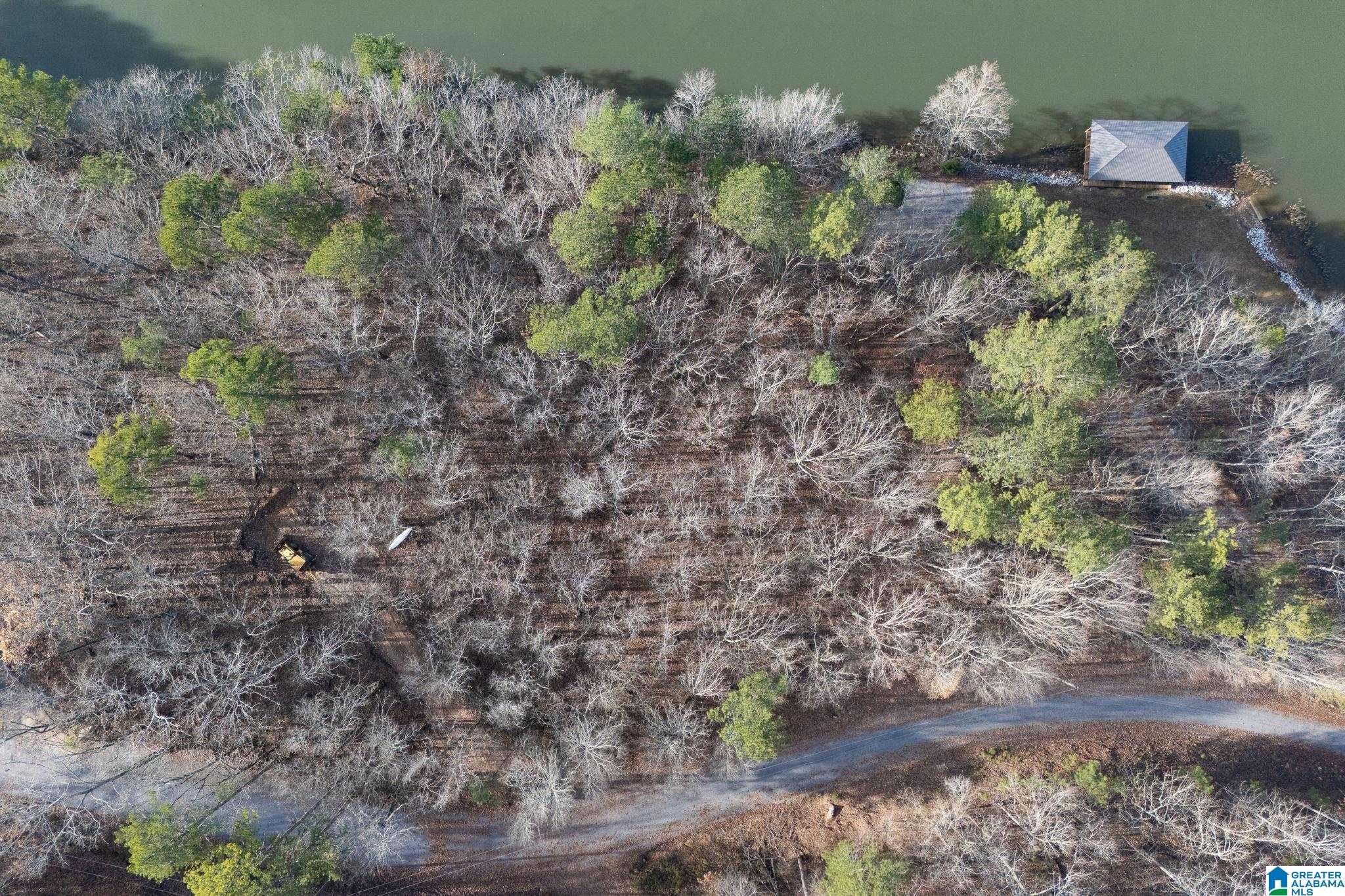 Homes for sale in Ashville, AL | Maverick Dr, Ashville, AL 35953 | MLS# 21438367