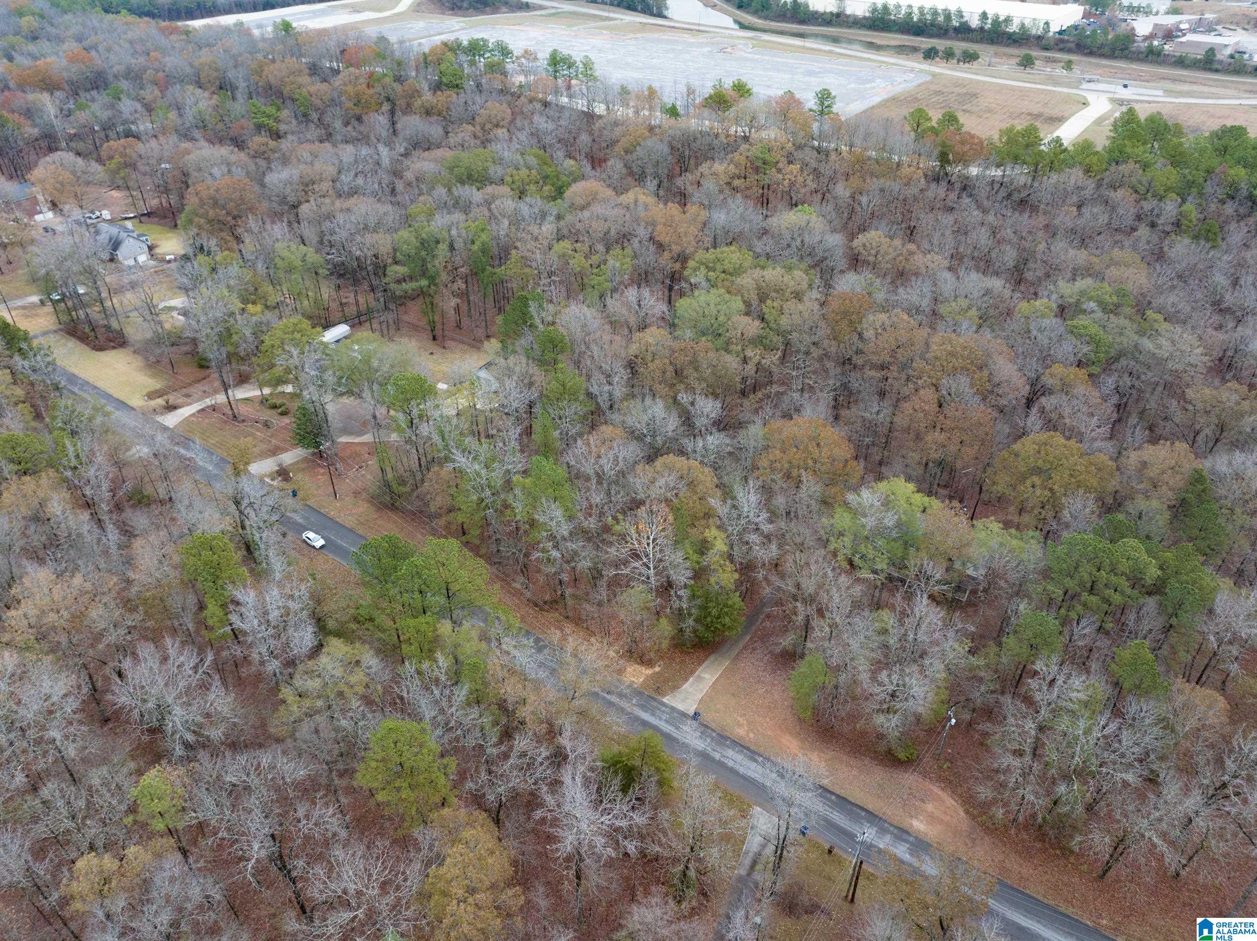 Homes for sale in Alabaster, AL | 145 Chestnut Dr, Alabaster, AL 35007 | MLS# 21438388