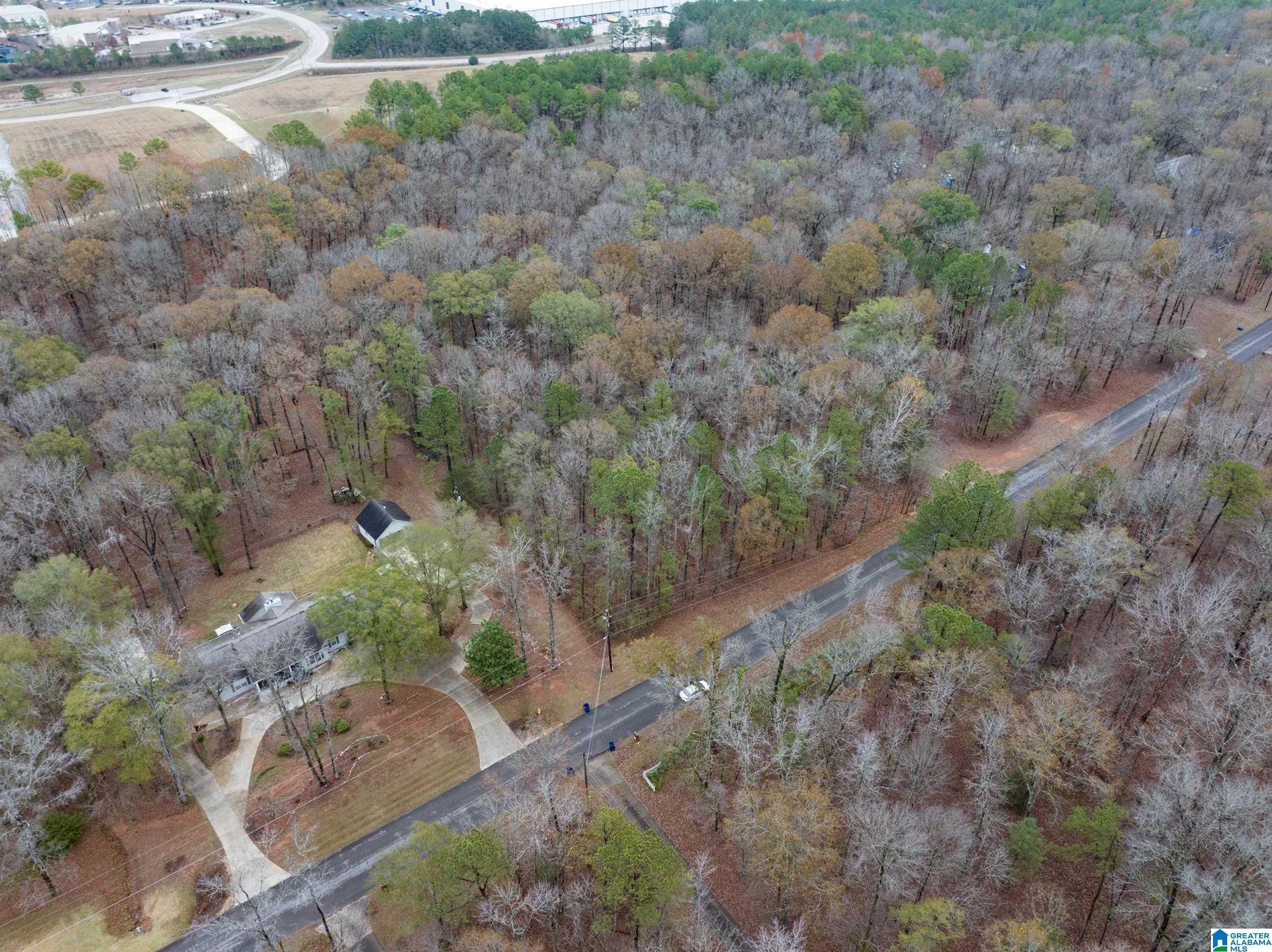 Homes for sale in Alabaster, AL | 145 Chestnut Dr, Alabaster, AL 35007 | MLS# 21438388