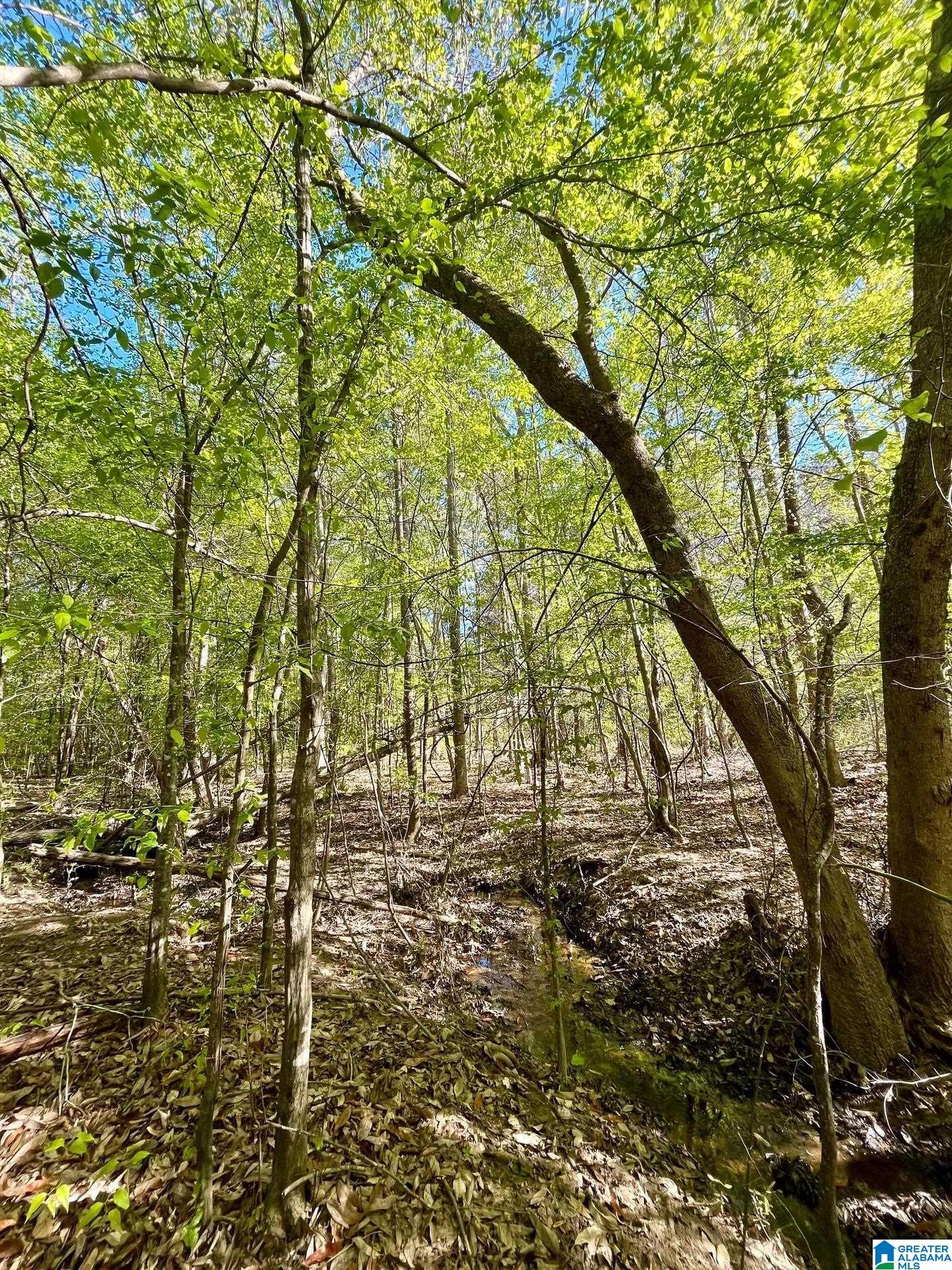 Homes for sale in Ashland, AL | 0 Landfill Road, Ashland, AL 36251 | MLS# 21438392