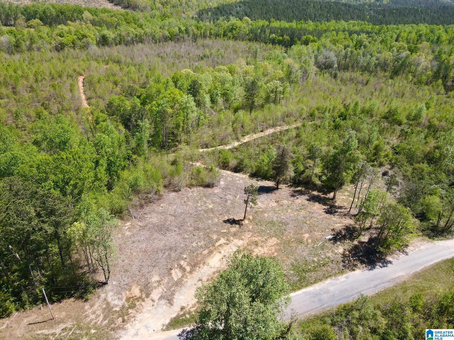 Homes for sale in Ashland, AL | 0 Landfill Road, Ashland, AL 36251 | MLS# 21438392