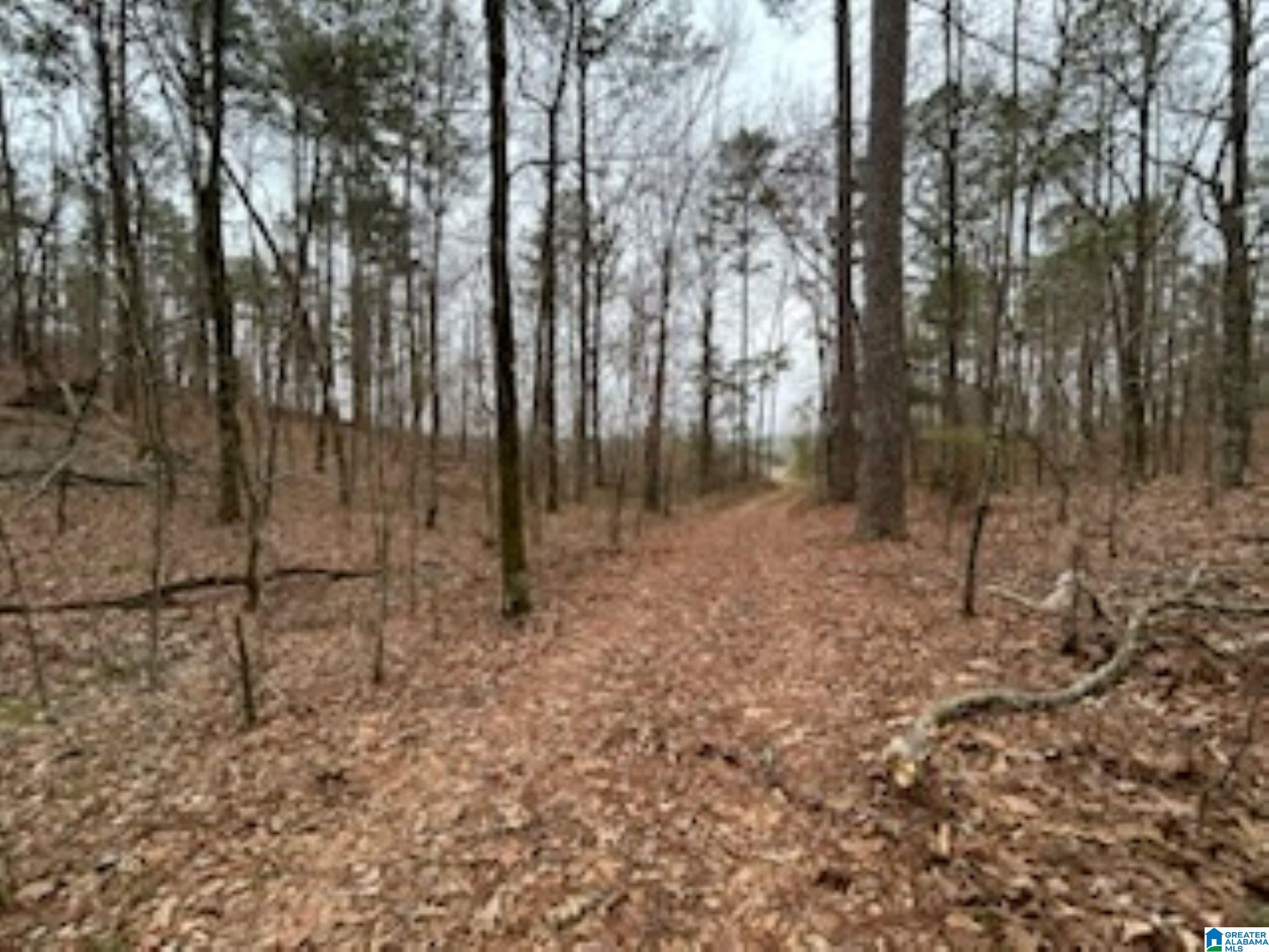 Homes for sale in Wilsonville, AL | 000 Hwy 55, Wilsonville, AL 35186 | MLS# 21438485