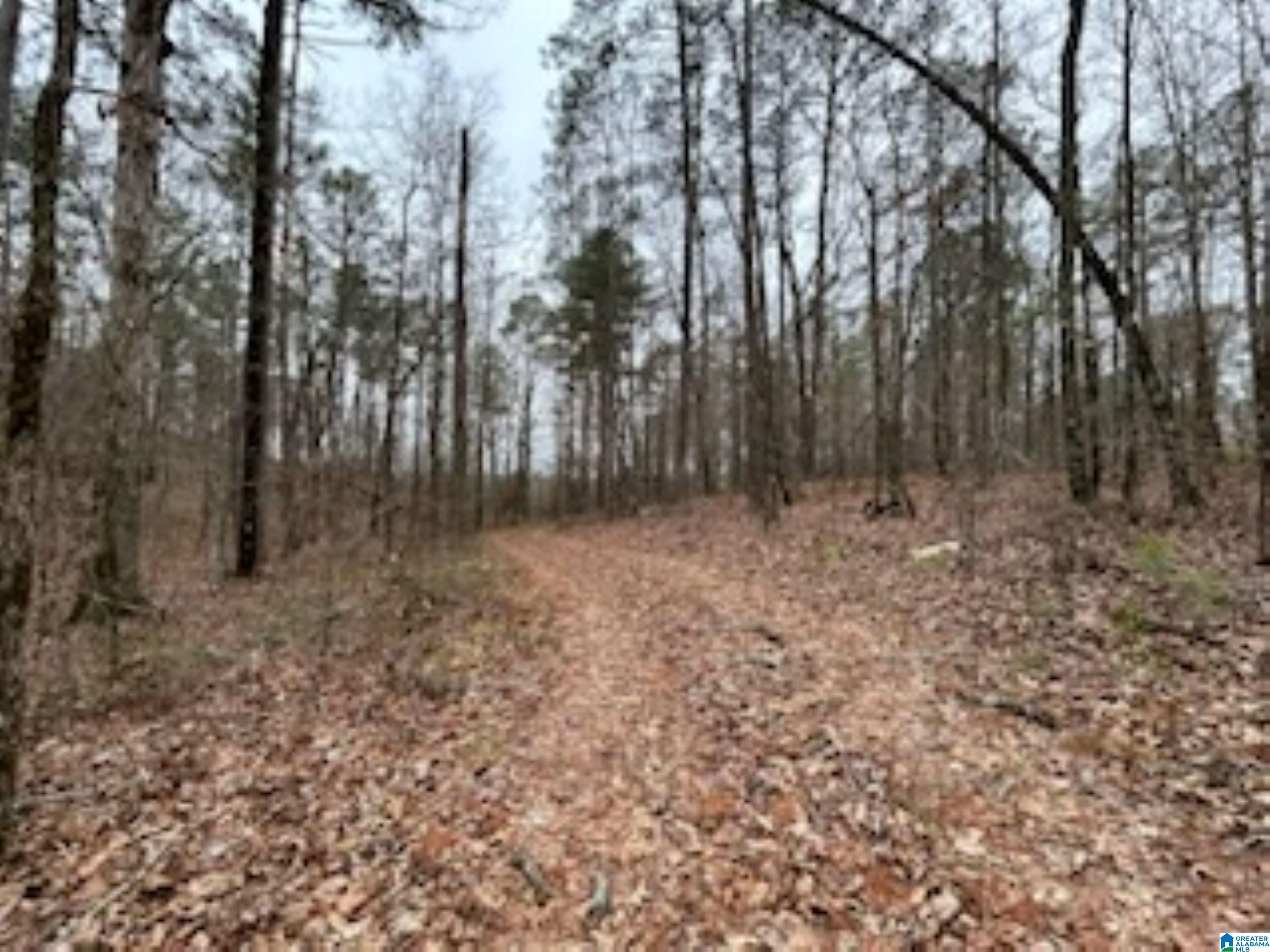 Homes for sale in Wilsonville, AL | 000 Hwy 55, Wilsonville, AL 35186 | MLS# 21438485