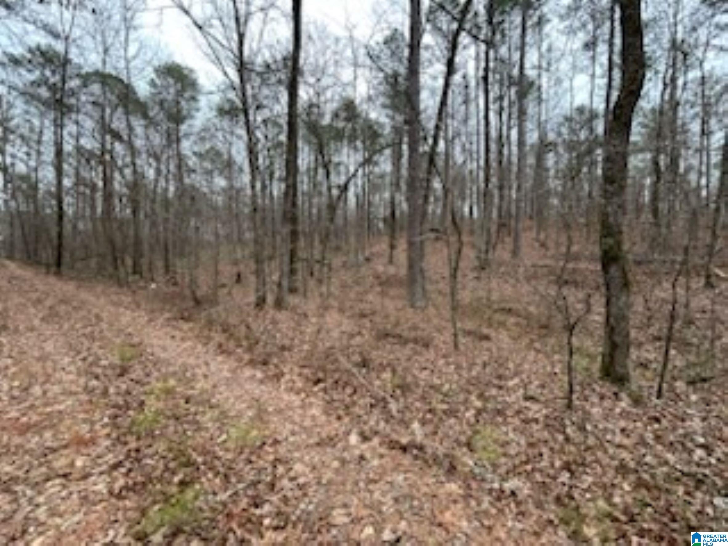 Homes for sale in Wilsonville, AL | 000 Hwy 55, Wilsonville, AL 35186 | MLS# 21438485