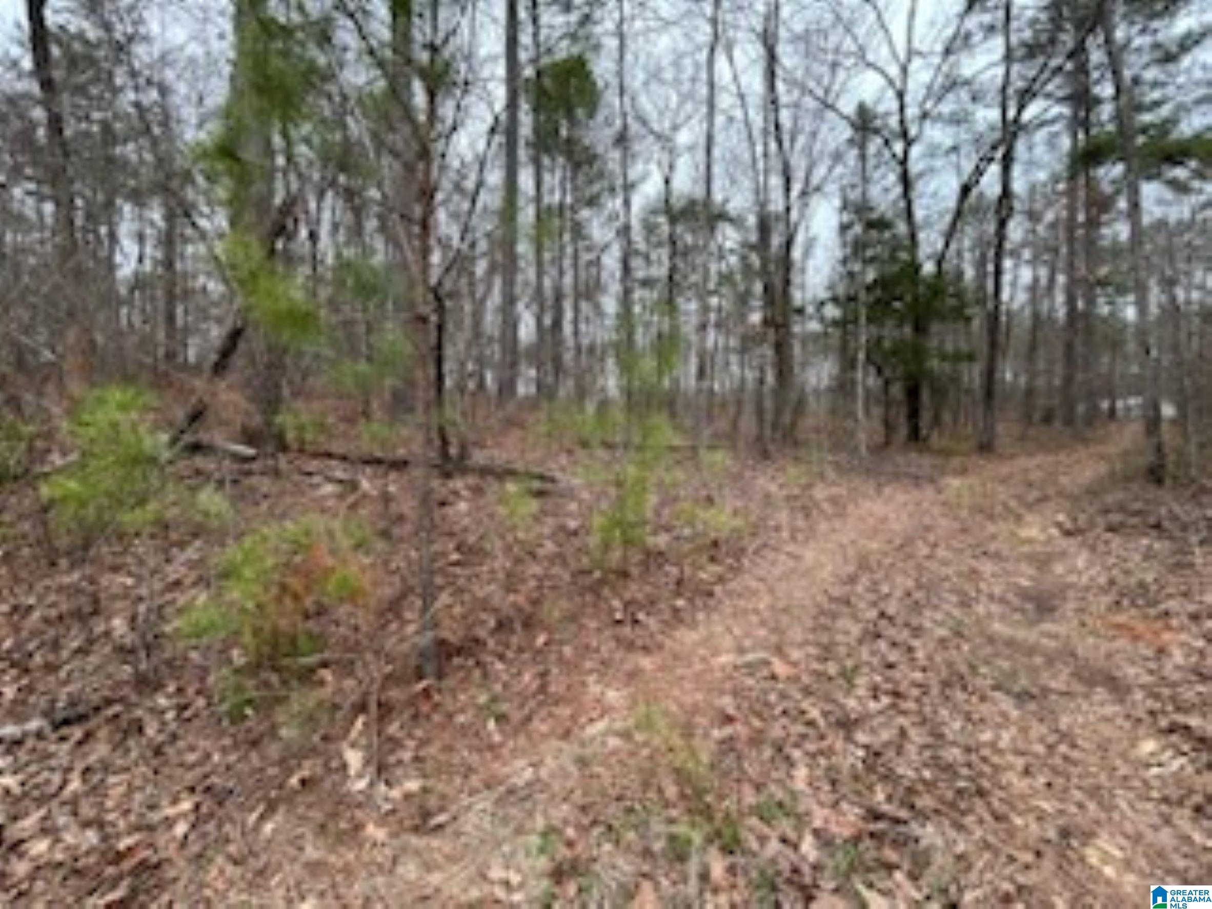 Homes for sale in Wilsonville, AL | 000 Hwy 55, Wilsonville, AL 35186 | MLS# 21438485