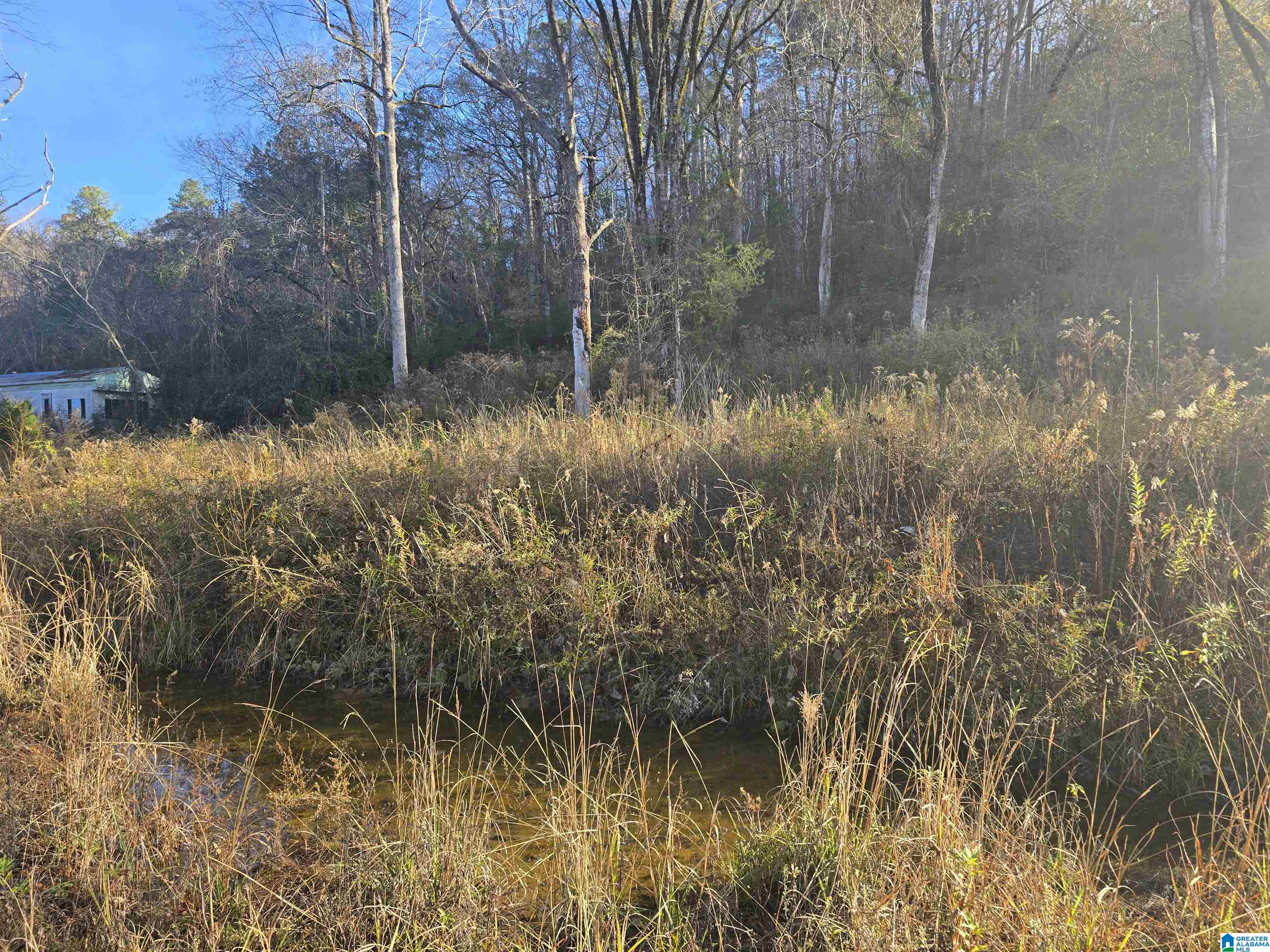 Homes for sale in Verbena, AL | 0000 County Road 110, Verbena, AL 36091 | MLS# 21438493