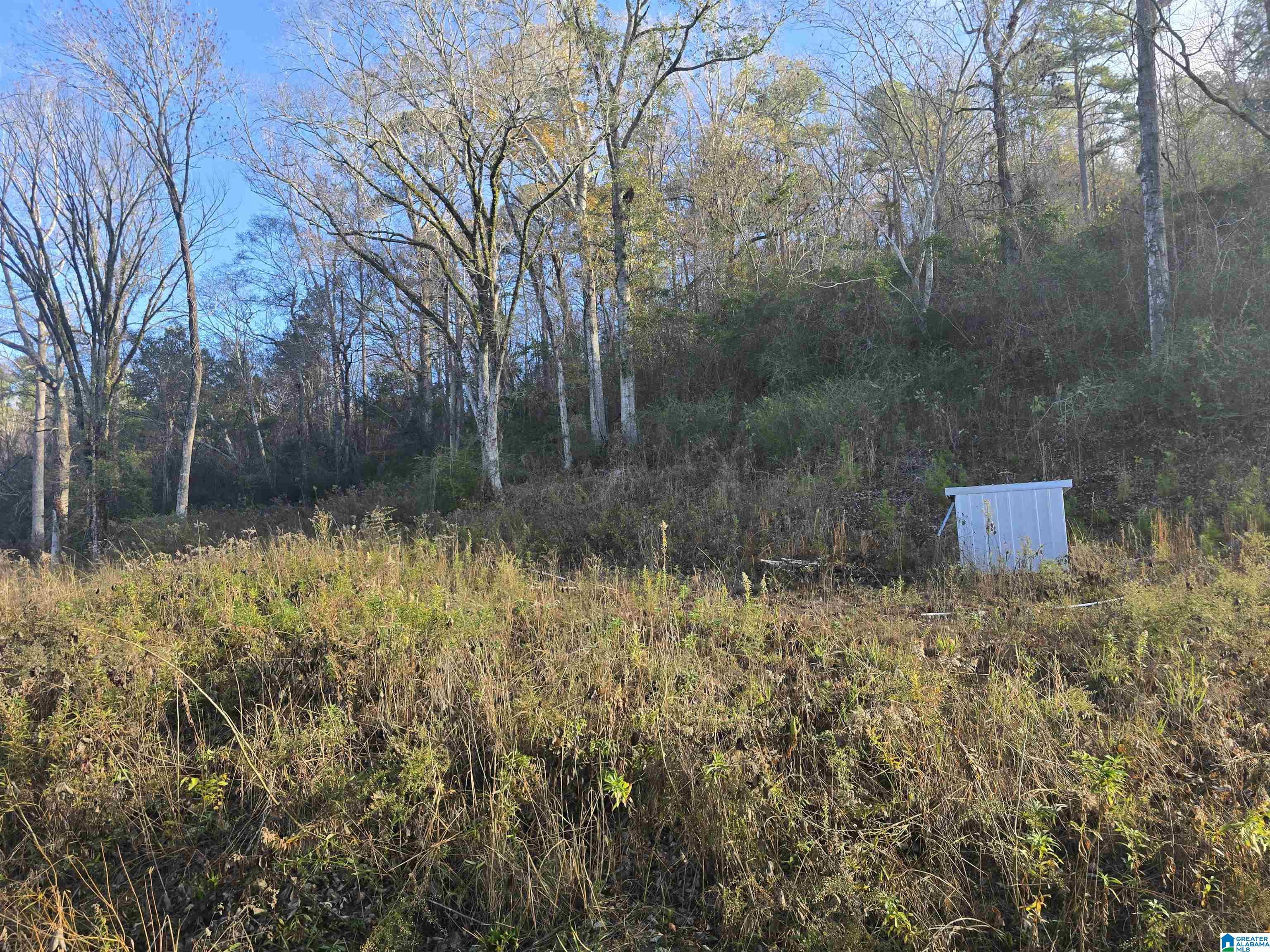 Homes for sale in Verbena, AL | 0000 County Road 110, Verbena, AL 36091 | MLS# 21438493
