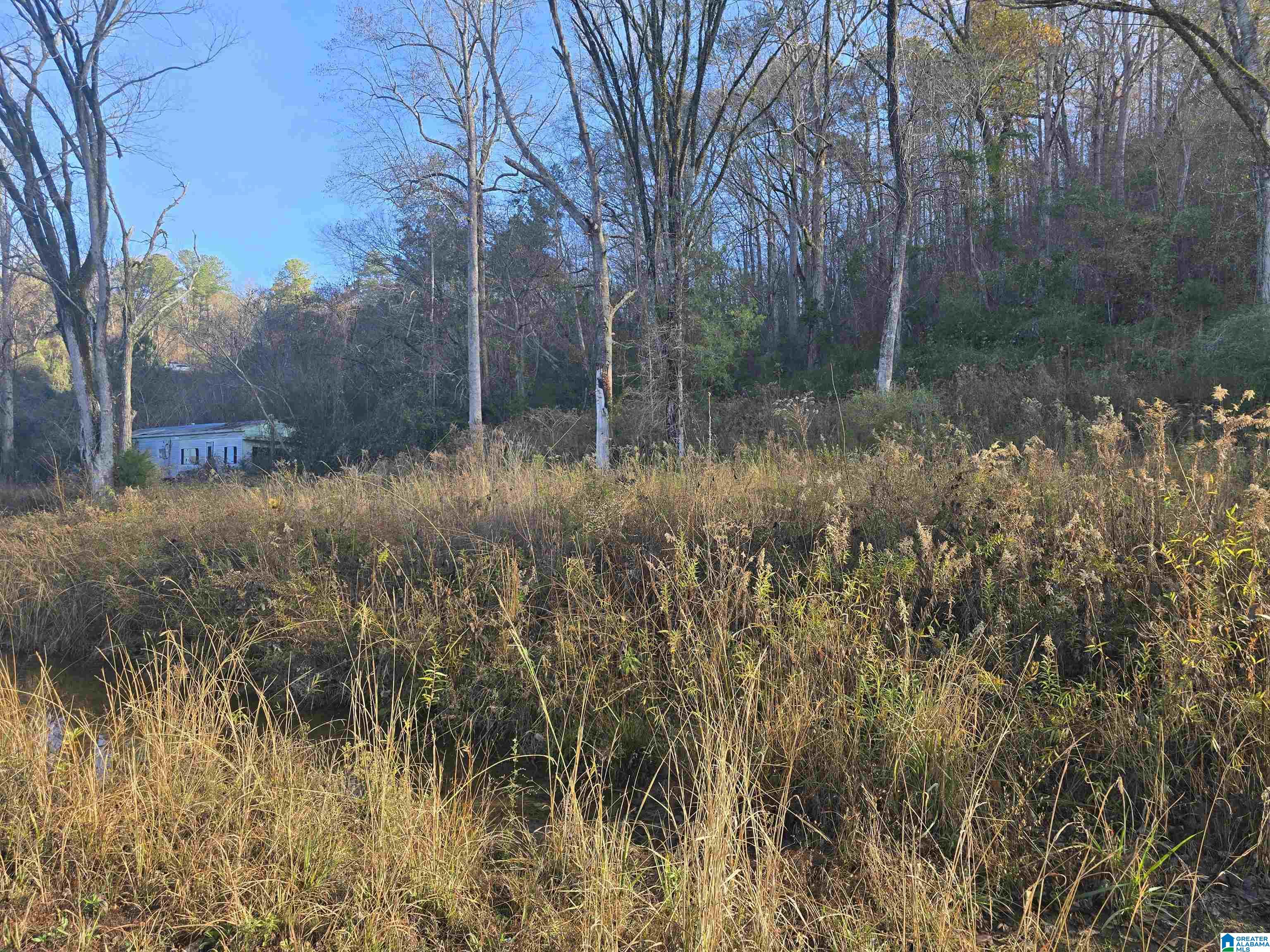 Homes for sale in Verbena, AL | 0000 County Road 110, Verbena, AL 36091 | MLS# 21438493