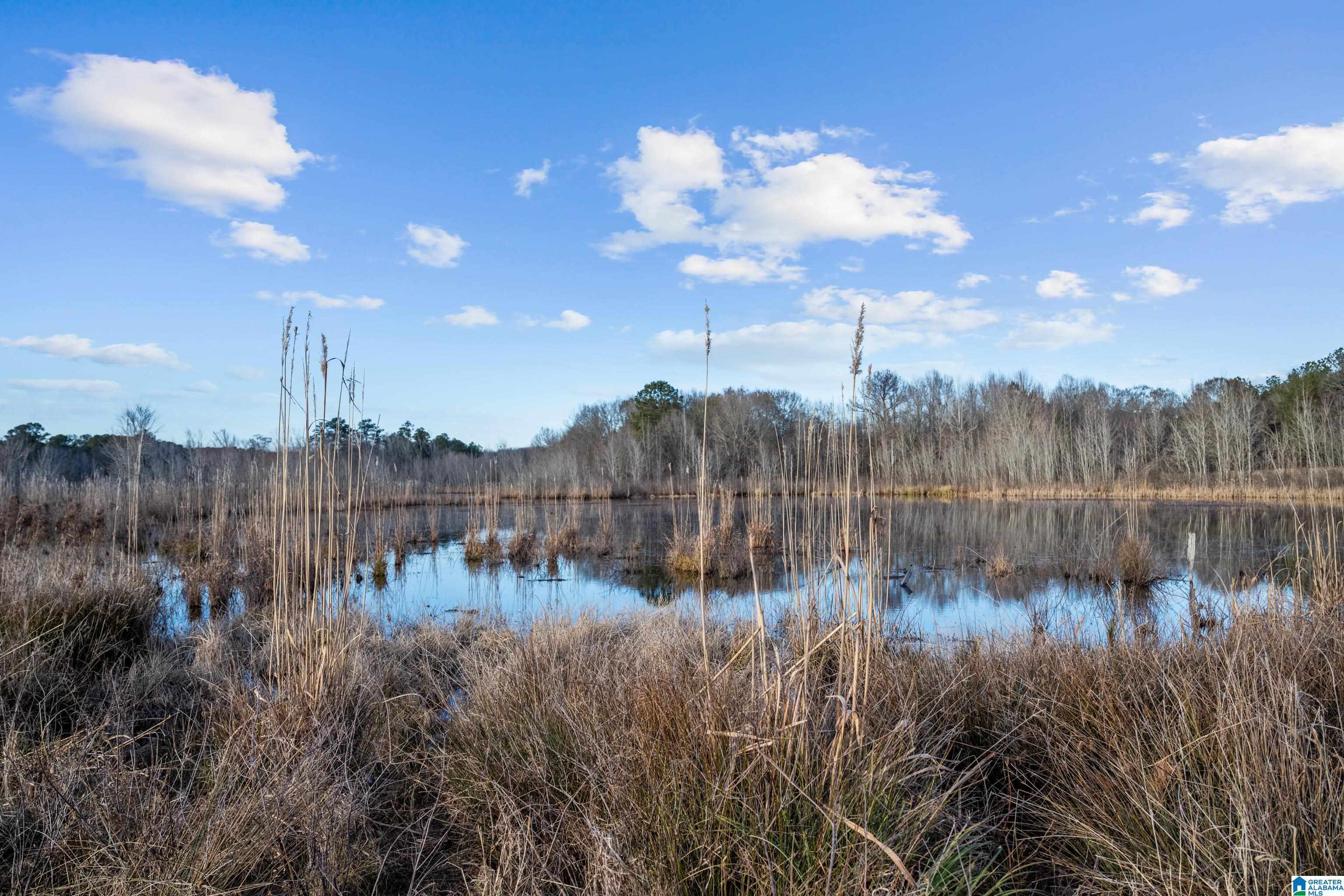 Homes for sale in Wilsonville, AL | 2002 Hebb Road, Wilsonville, AL 35186 | MLS# 21438616