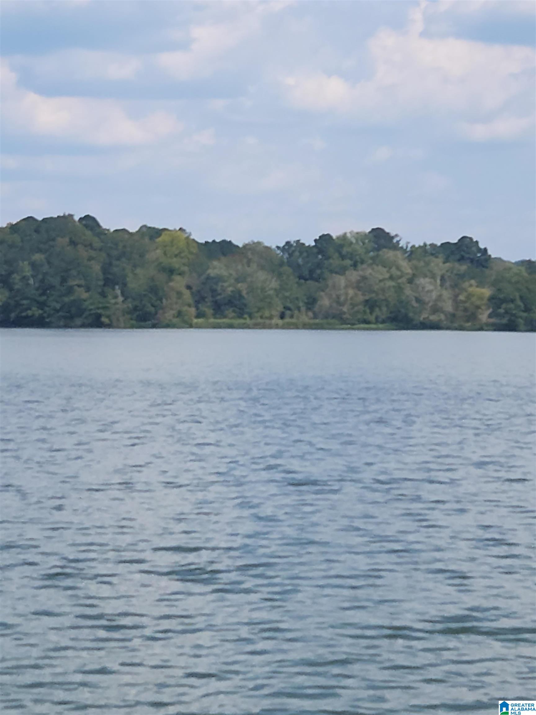 Homes for sale in Lincoln, AL | 0 Choccolocco Creek Island, Lincoln, AL 35044 | MLS# 21438677
