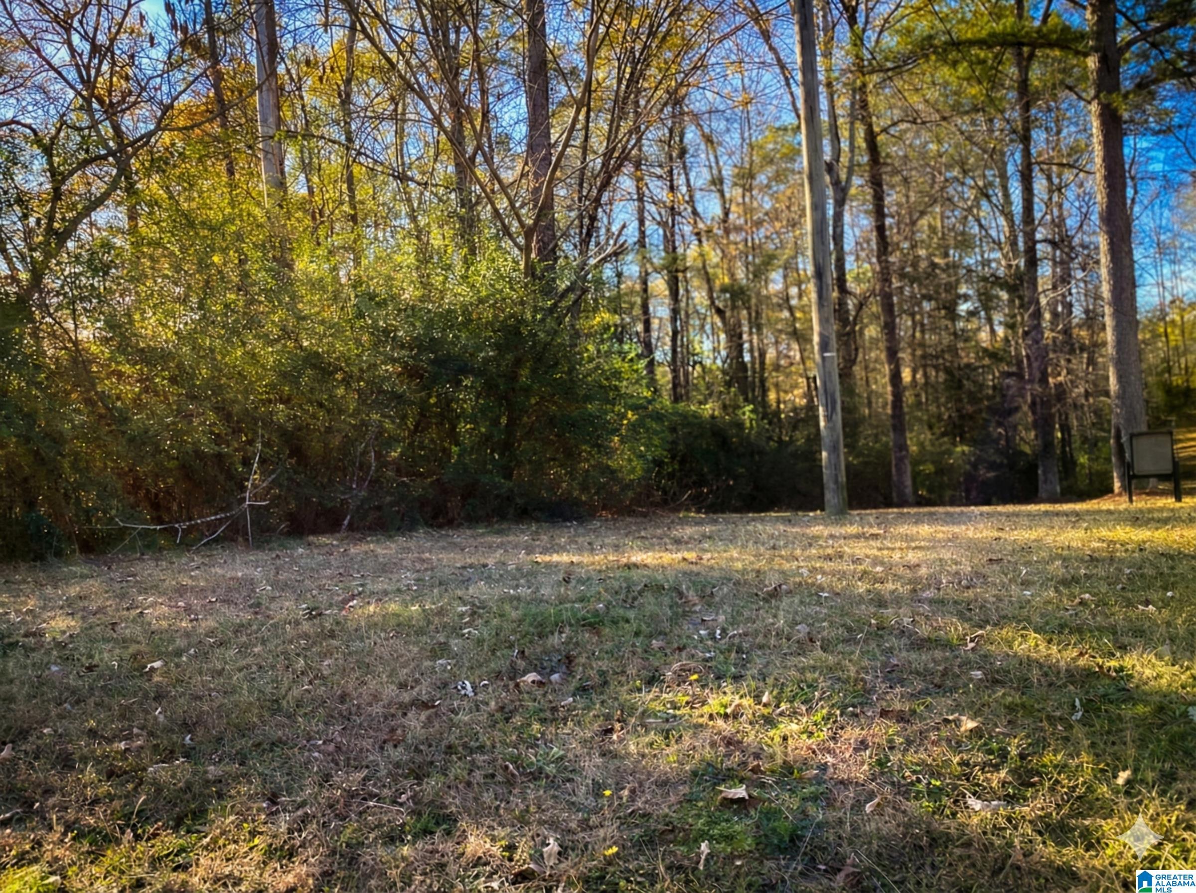 Homes for sale in Montevallo, AL | 210 Hwy 204, Montevallo, AL 35115 | MLS# 21438690