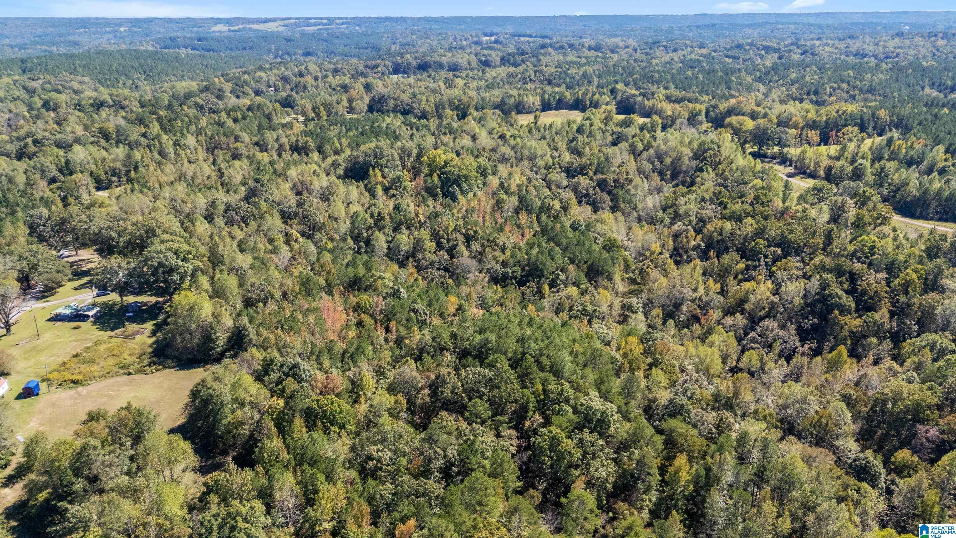 Homes for sale in Empire, AL | 0 Phillips Lane, Empire, AL 35063 | MLS# 21438692