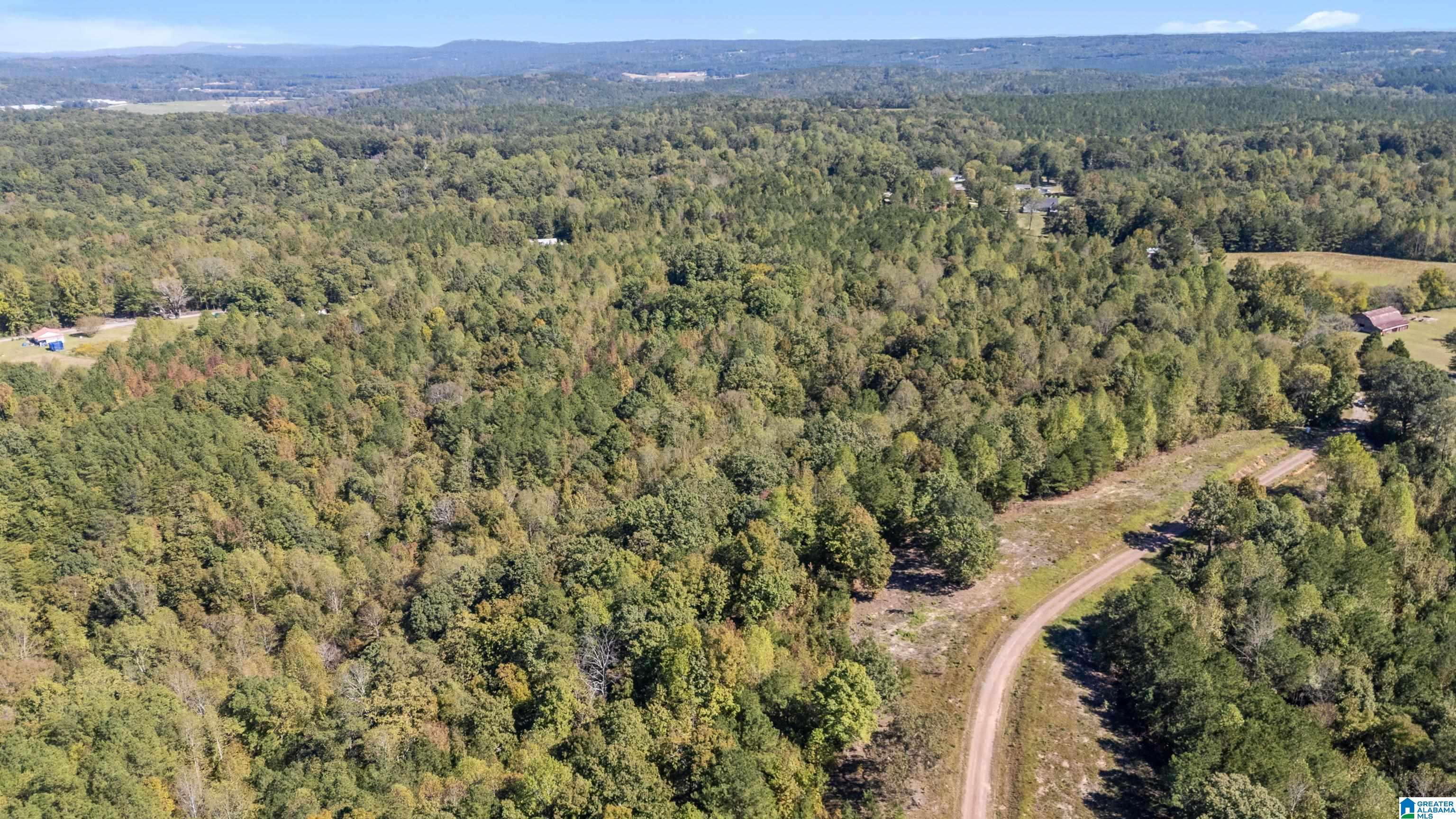 Homes for sale in Empire, AL | 0 Phillips Lane, Empire, AL 35063 | MLS# 21438692