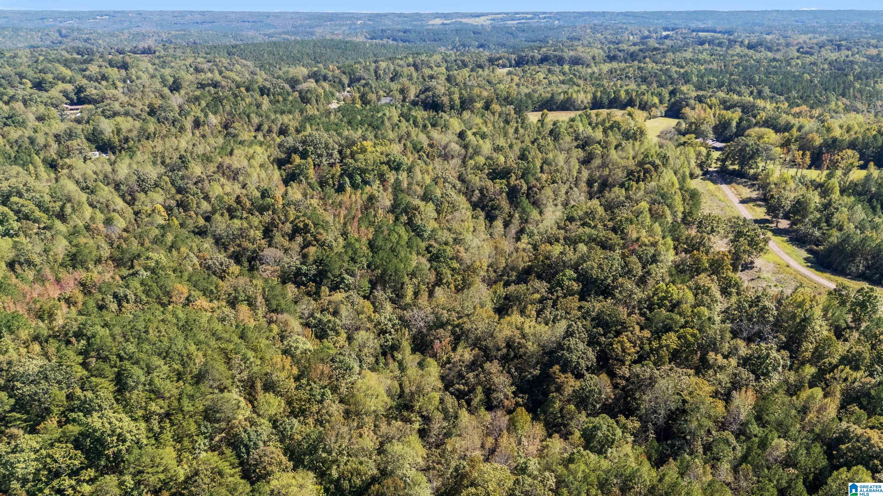 Homes for sale in Empire, AL | 0 Phillips Lane, Empire, AL 35063 | MLS# 21438692