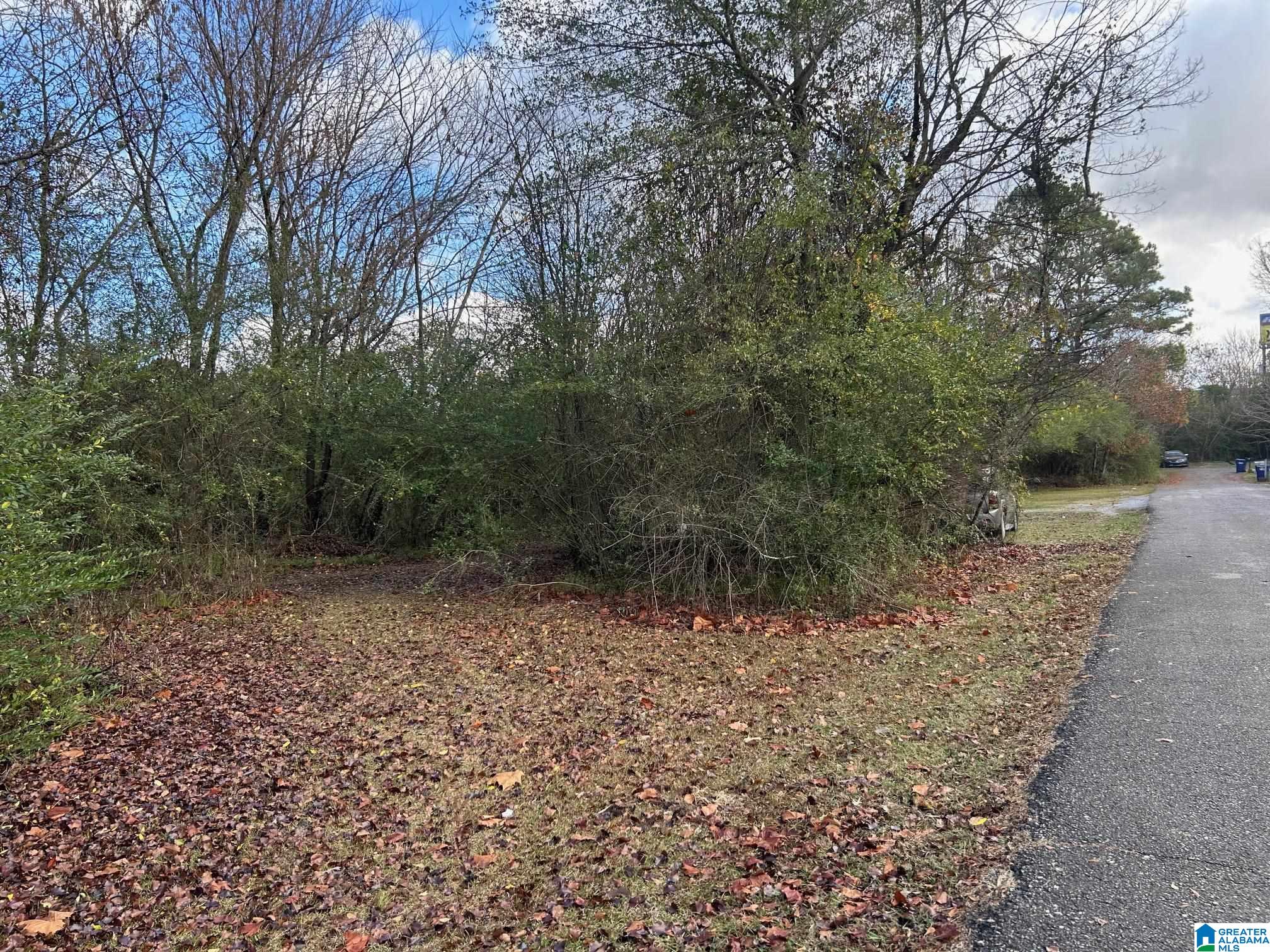 Homes for sale in Anniston, AL | 0 Francis Street, Anniston, AL 36206 | MLS# 21438782