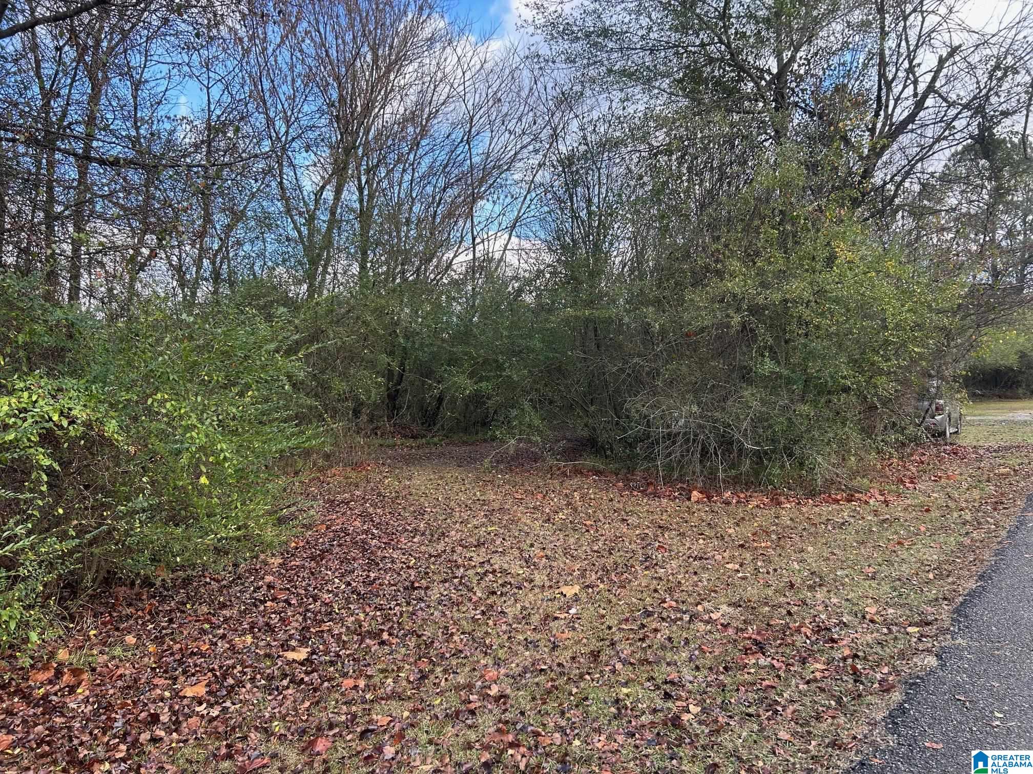 Homes for sale in Anniston, AL | 0 Francis Street, Anniston, AL 36206 | MLS# 21438782