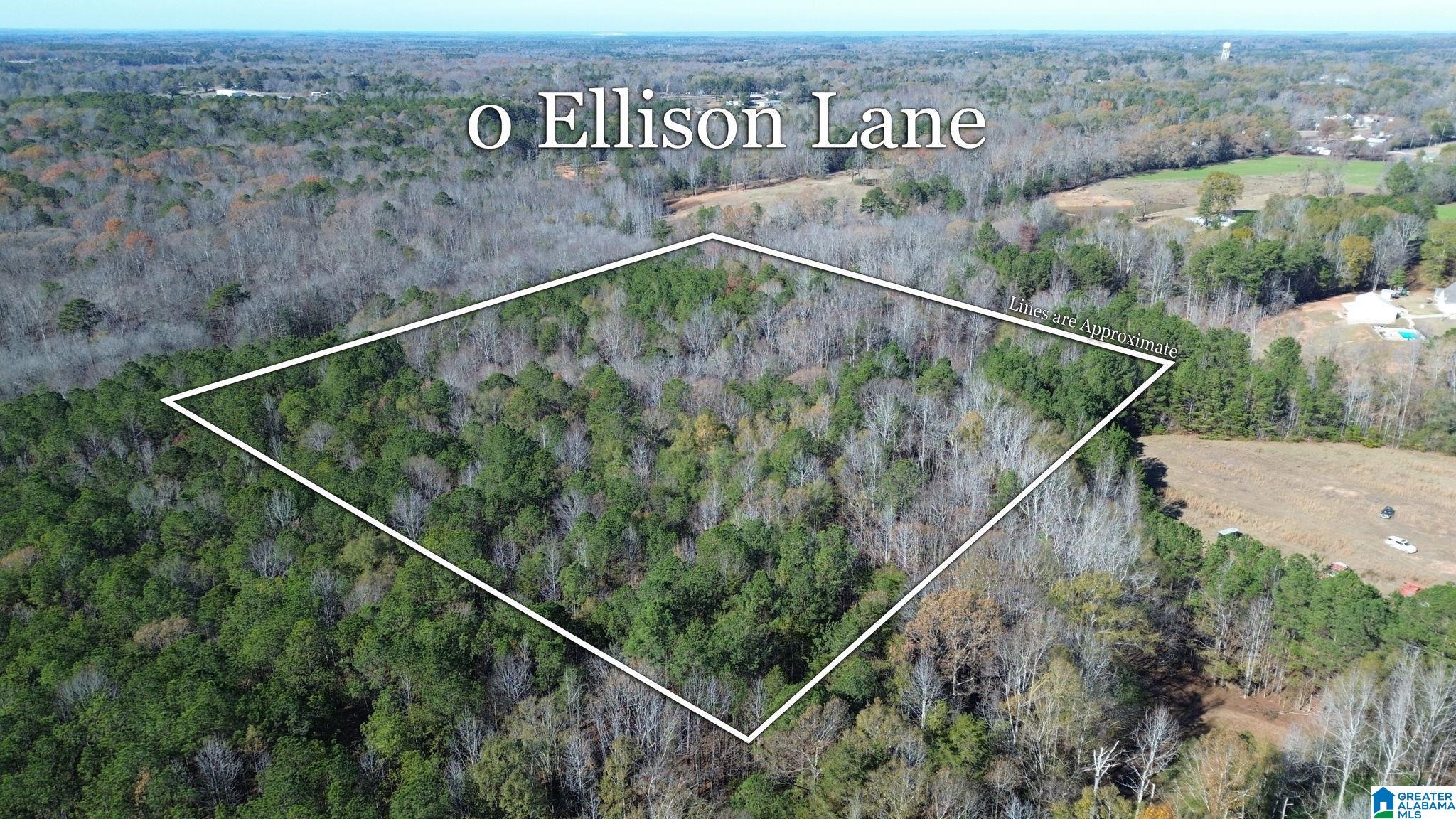 0 ELLISON ROAD