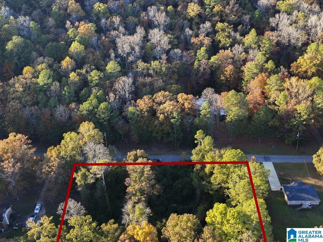 Homes for sale in Warrior, AL | 0 Mill Creek Road, Warrior, AL 35180 | MLS# 21438806