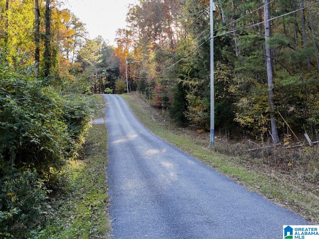 Homes for sale in Warrior, AL | 0 Mill Creek Road, Warrior, AL 35180 | MLS# 21438806