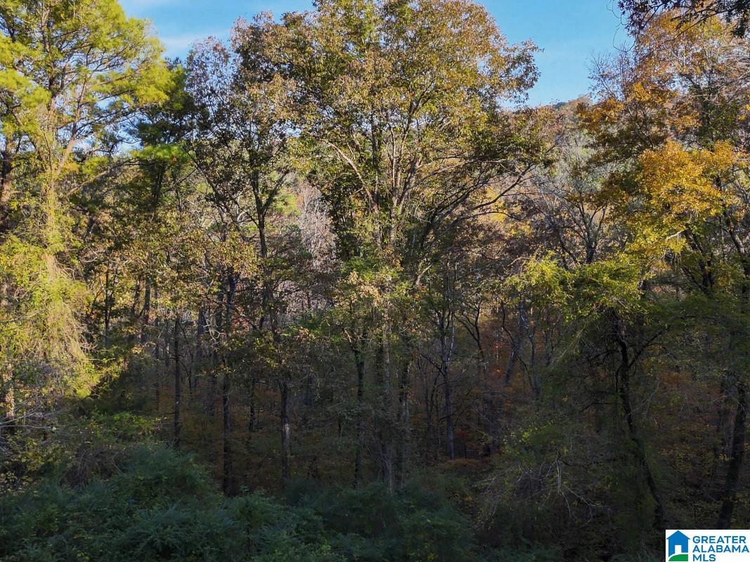 Homes for sale in Warrior, AL | 0 Mill Creek Road, Warrior, AL 35180 | MLS# 21438806