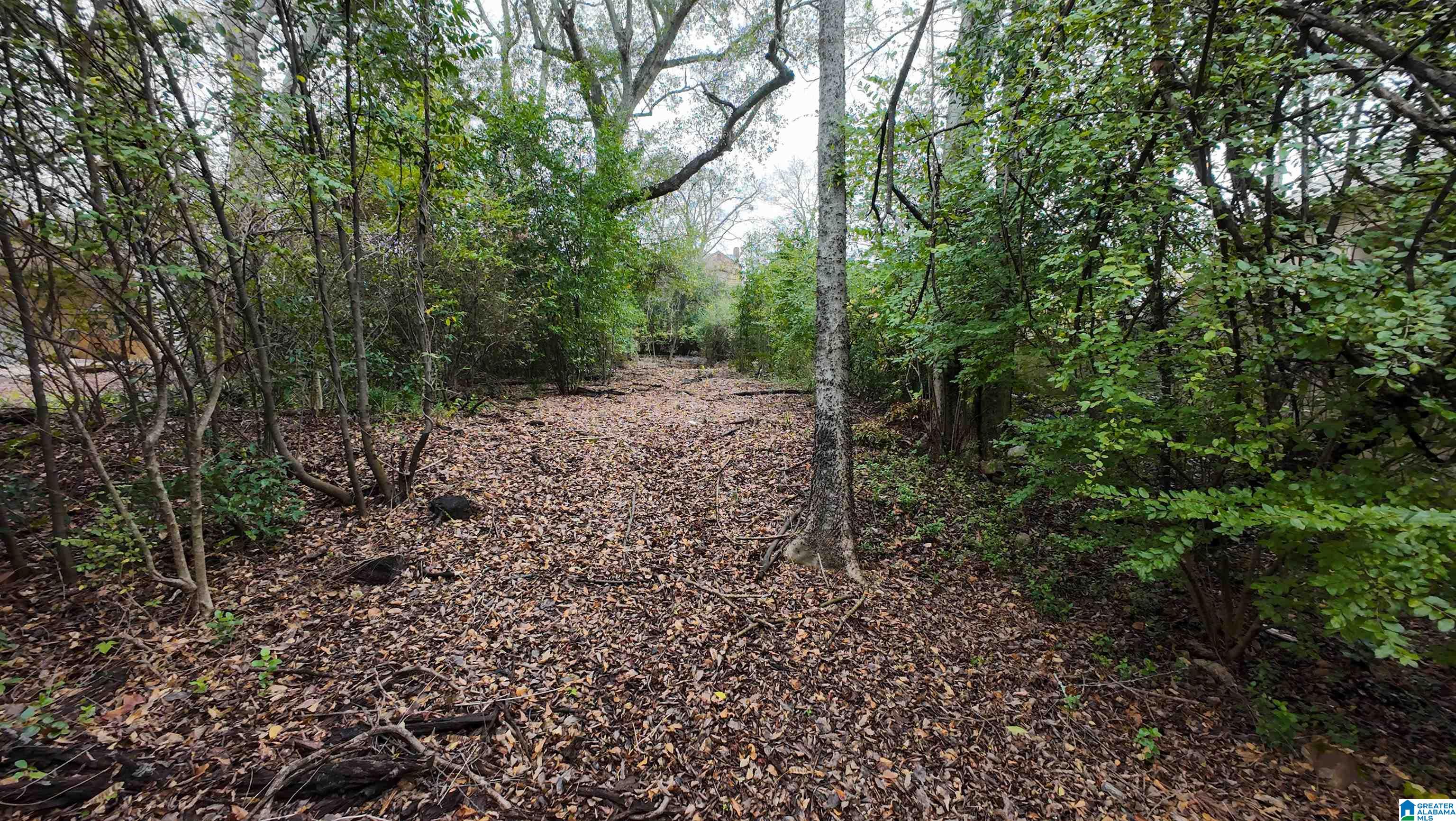 Homes for sale in Mountain Brk, AL | 2212 Peacock Lane, Mountain Brk, AL 35223 | MLS# 21438851