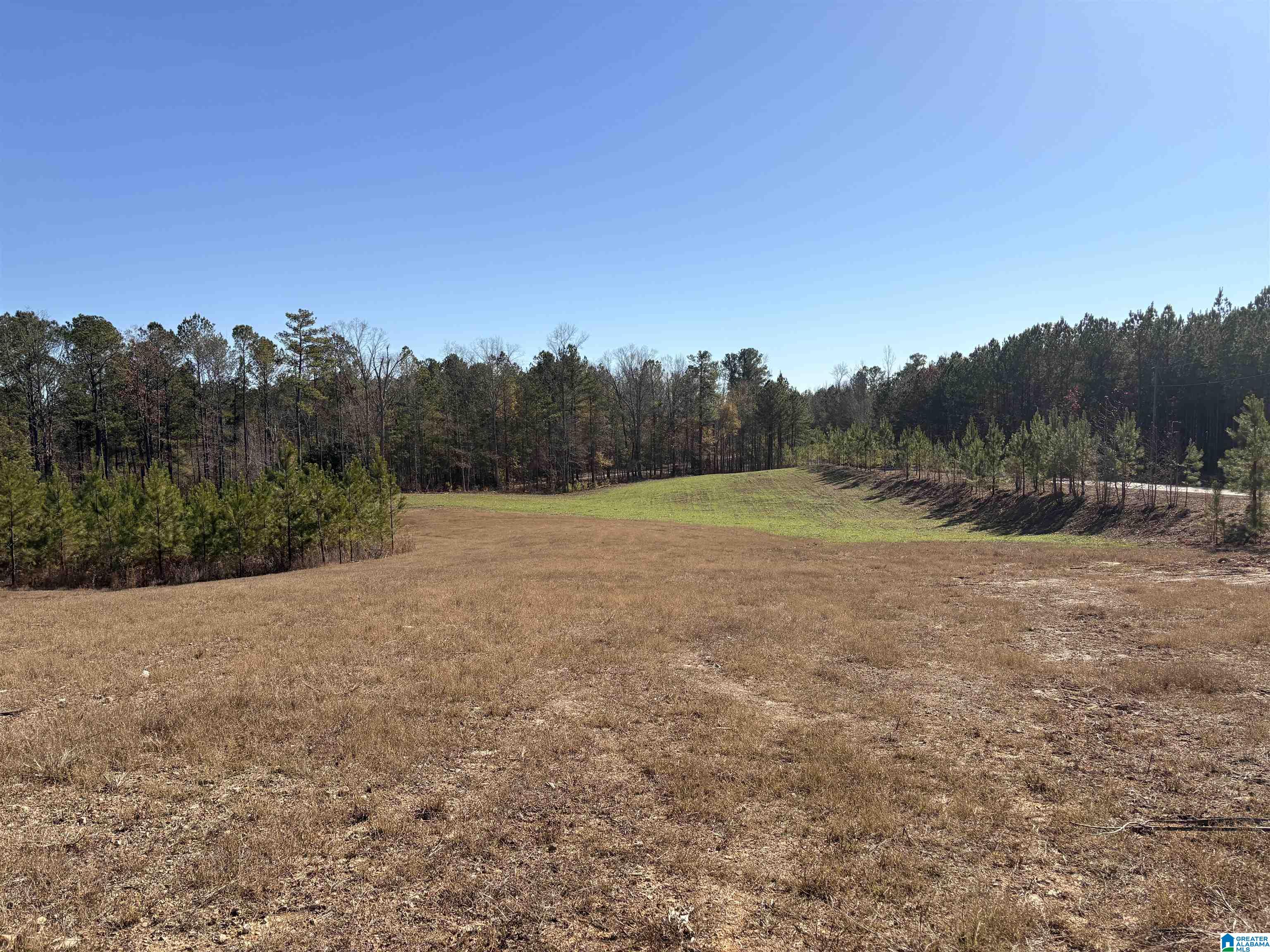 Homes for sale in County, AL | 5000 Joinertown Road, County, AL 35051 | MLS# 21438871