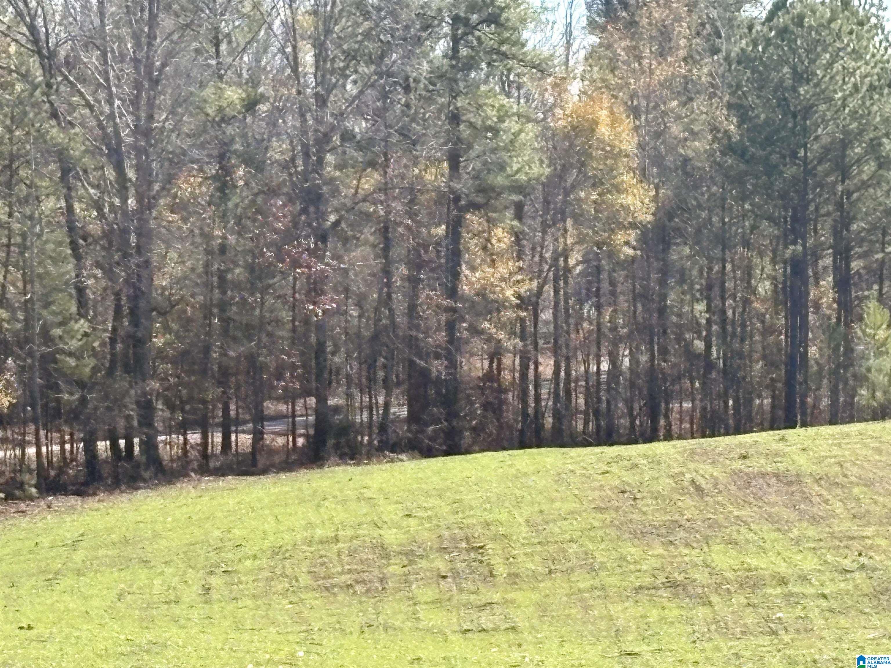 Homes for sale in County, AL | 5000 Joinertown Road, County, AL 35051 | MLS# 21438871