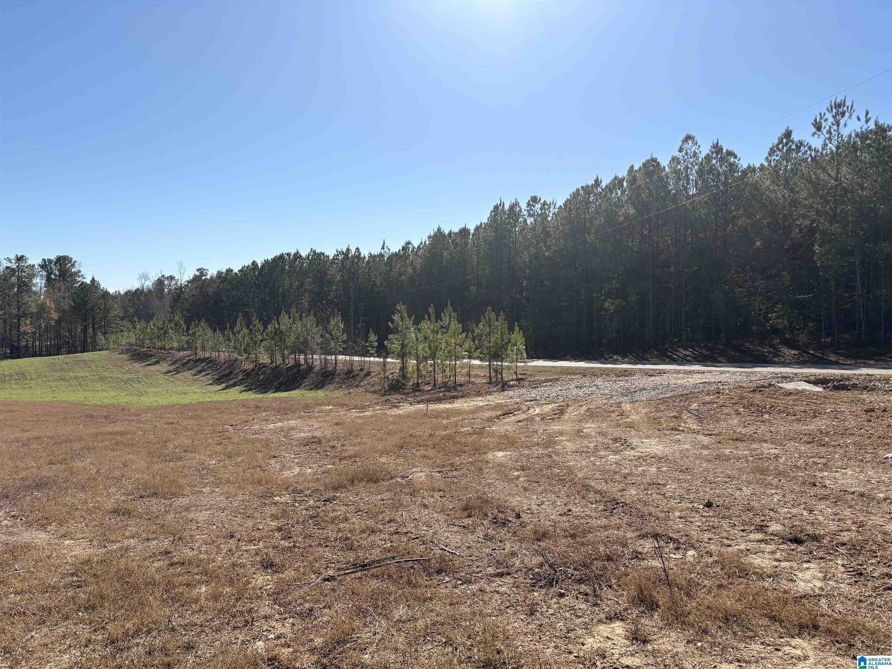 Homes for sale in County, AL | 5000 Joinertown Road, County, AL 35051 | MLS# 21438871