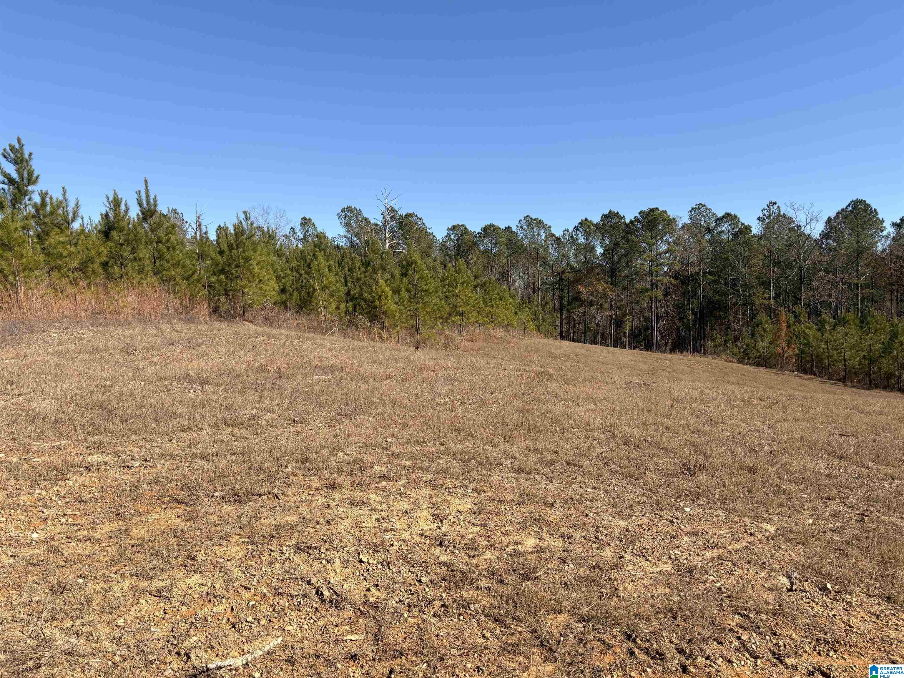 Homes for sale in County, AL | 5000 Joinertown Road, County, AL 35051 | MLS# 21438871