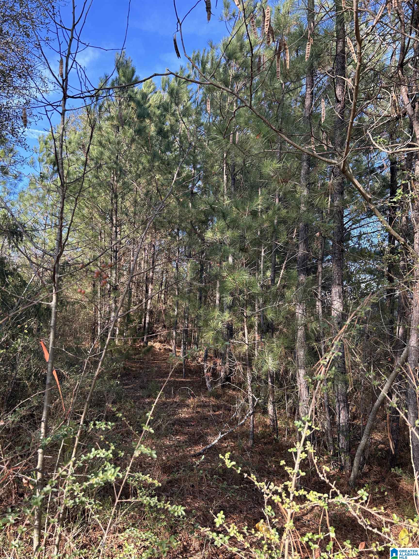 Homes for sale in Eastaboga, AL | 0 Hwy 78, Eastaboga, AL 36260 | MLS# 21438881