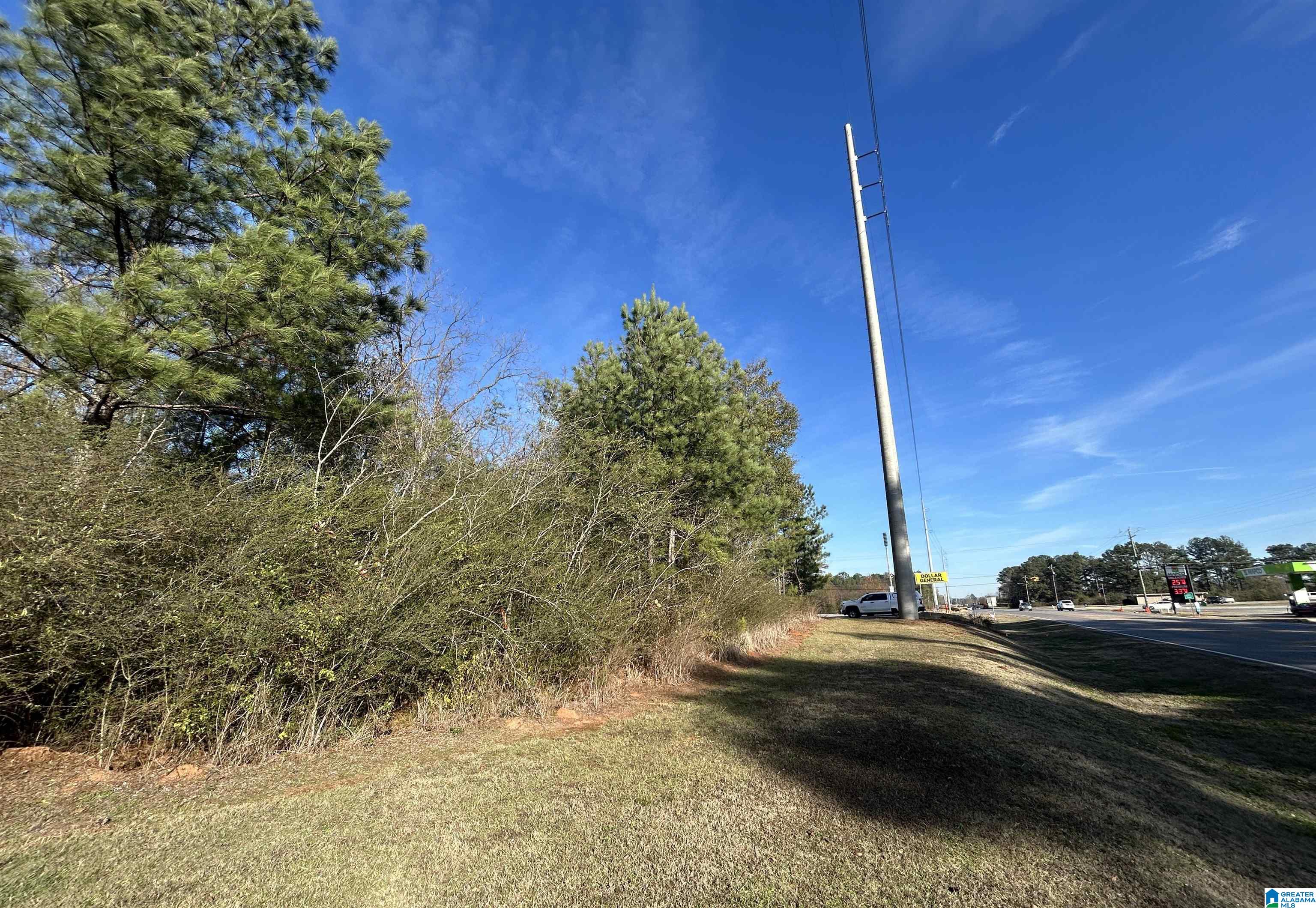 Homes for sale in Eastaboga, AL | 0 Hwy 78, Eastaboga, AL 36260 | MLS# 21438881