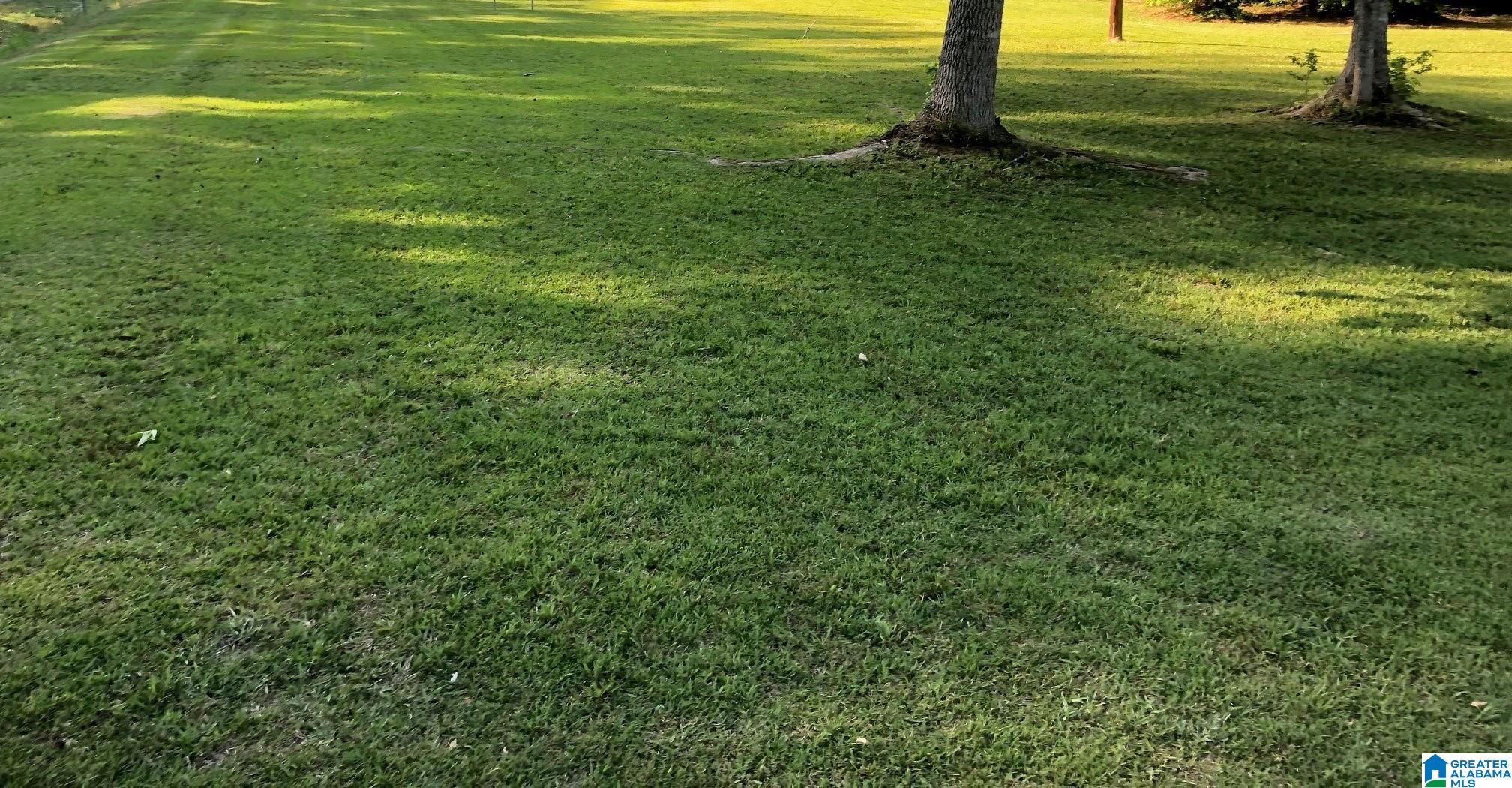 Homes for sale in Columbiana, AL | 958 Chelsea Road, Columbiana, AL 35051 | MLS# 21438926