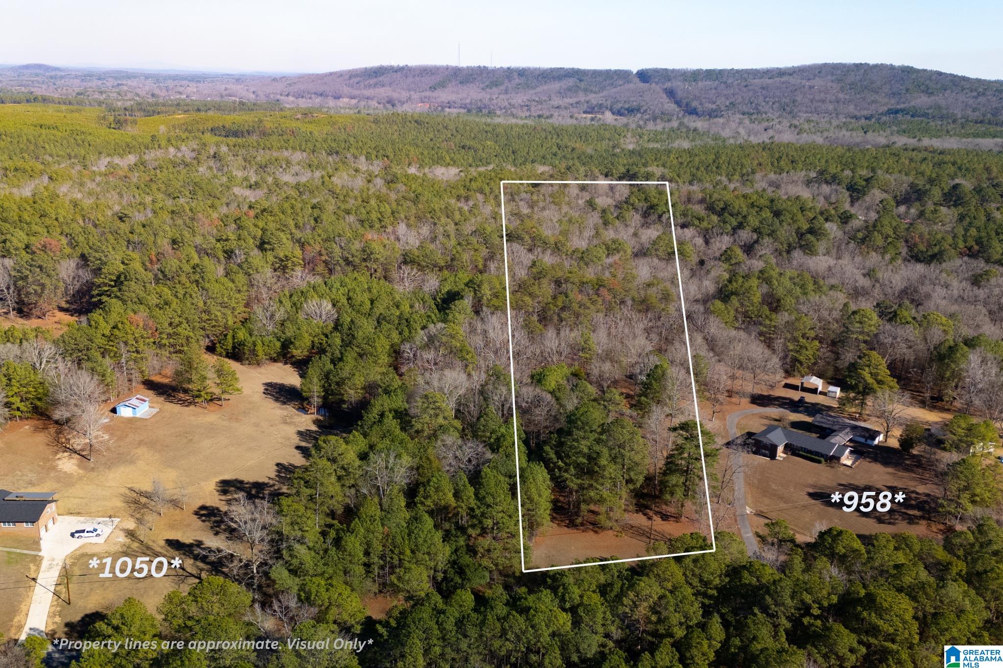 Homes for sale in Columbiana, AL | 958 Chelsea Road, Columbiana, AL 35051 | MLS# 21438926