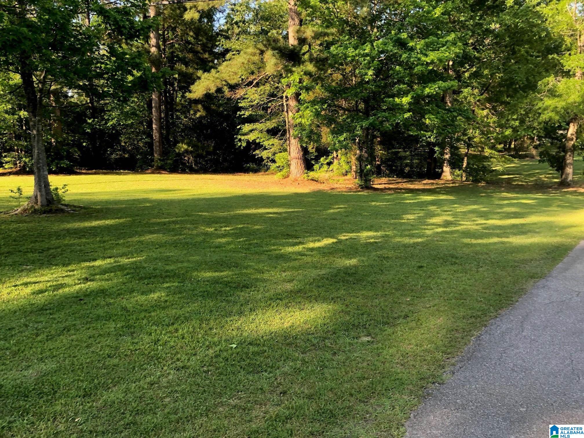 Homes for sale in Columbiana, AL | 958 Chelsea Road, Columbiana, AL 35051 | MLS# 21438926