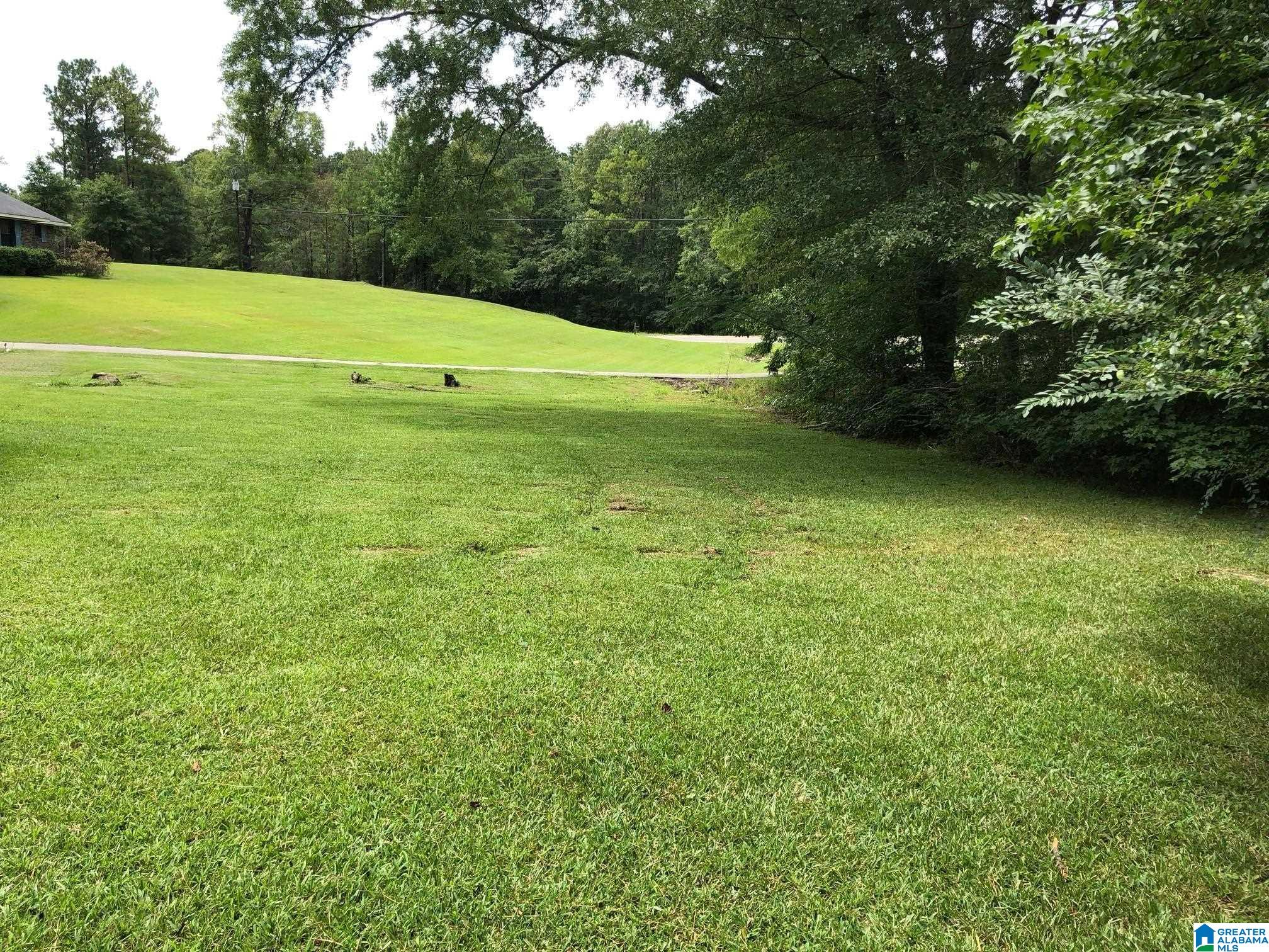 Homes for sale in Columbiana, AL | 958 Chelsea Road, Columbiana, AL 35051 | MLS# 21438926