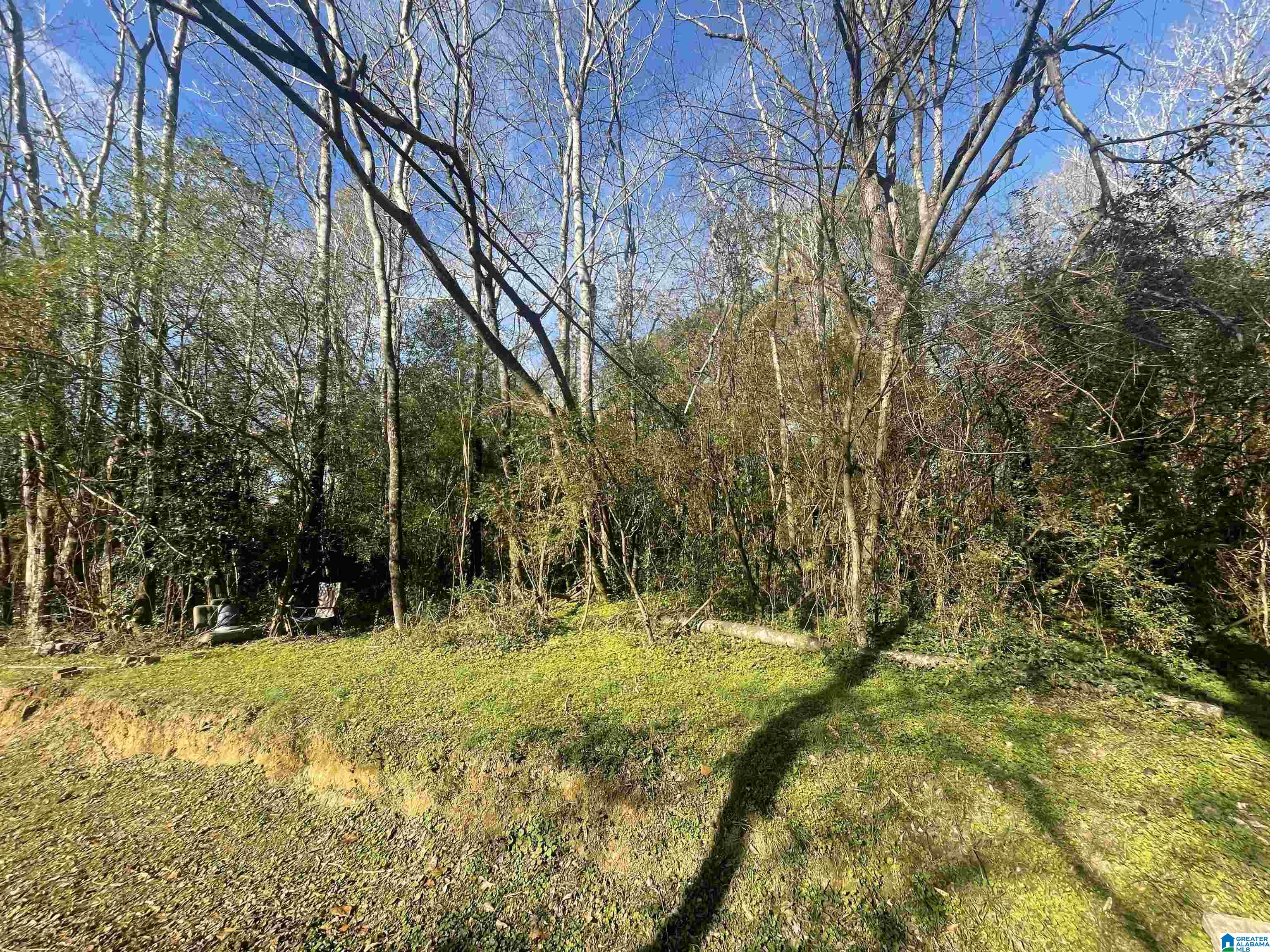Homes for sale in Adamsville, AL | 124 Ross Street, Adamsville, AL 35005 | MLS# 21438996