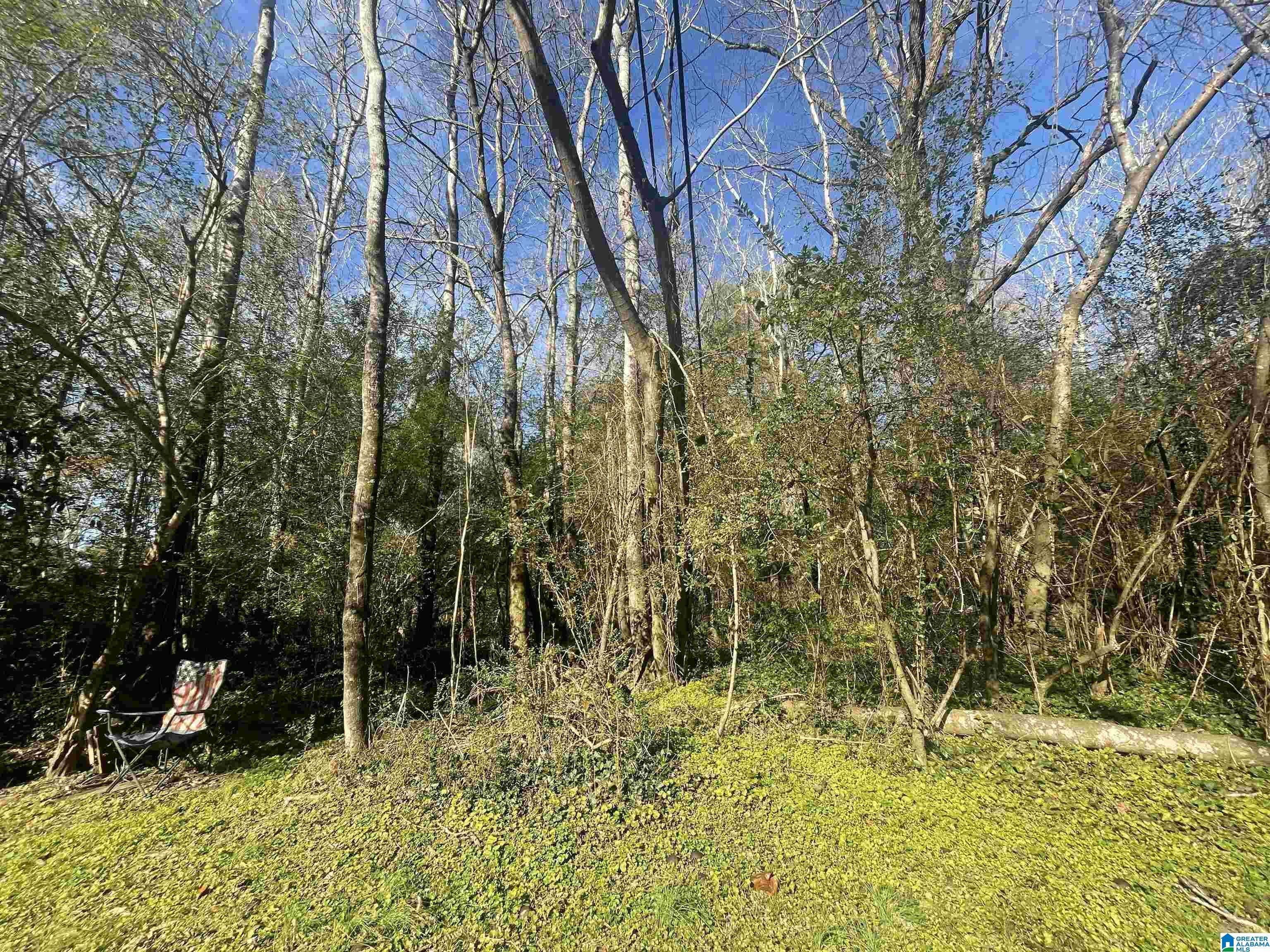 Homes for sale in Adamsville, AL | 124 Ross Street, Adamsville, AL 35005 | MLS# 21438996