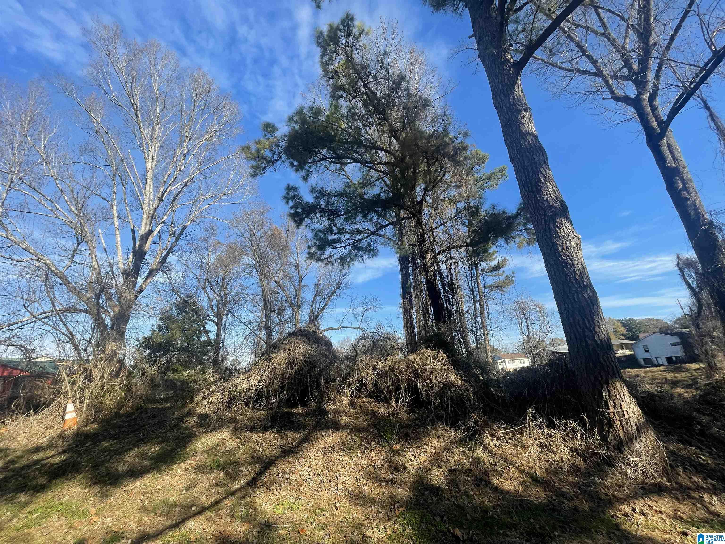 Homes for sale in Graysville, AL | 142 6th Court Sw, Graysville, AL 35073 | MLS# 21438997