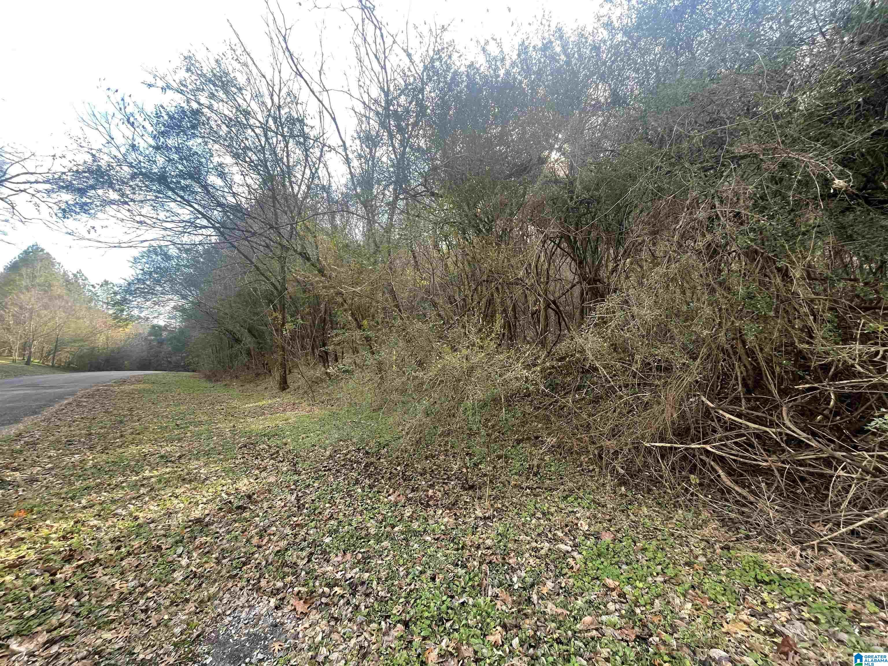 Homes for sale in Graysville, AL | 4380 Cherry Avenue, Graysville, AL 35073 | MLS# 21438999