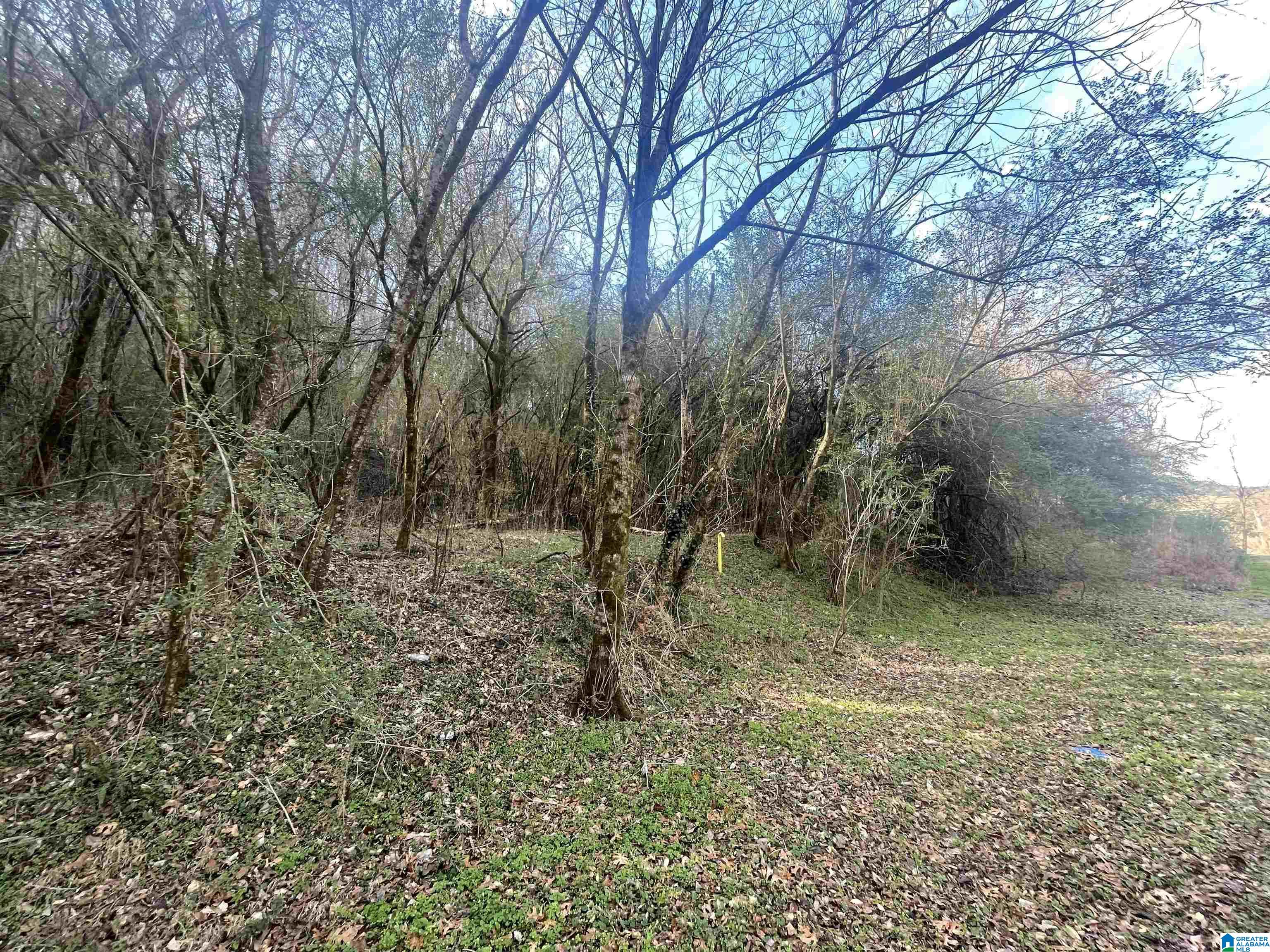 Homes for sale in Graysville, AL | 4380 Cherry Avenue, Graysville, AL 35073 | MLS# 21438999