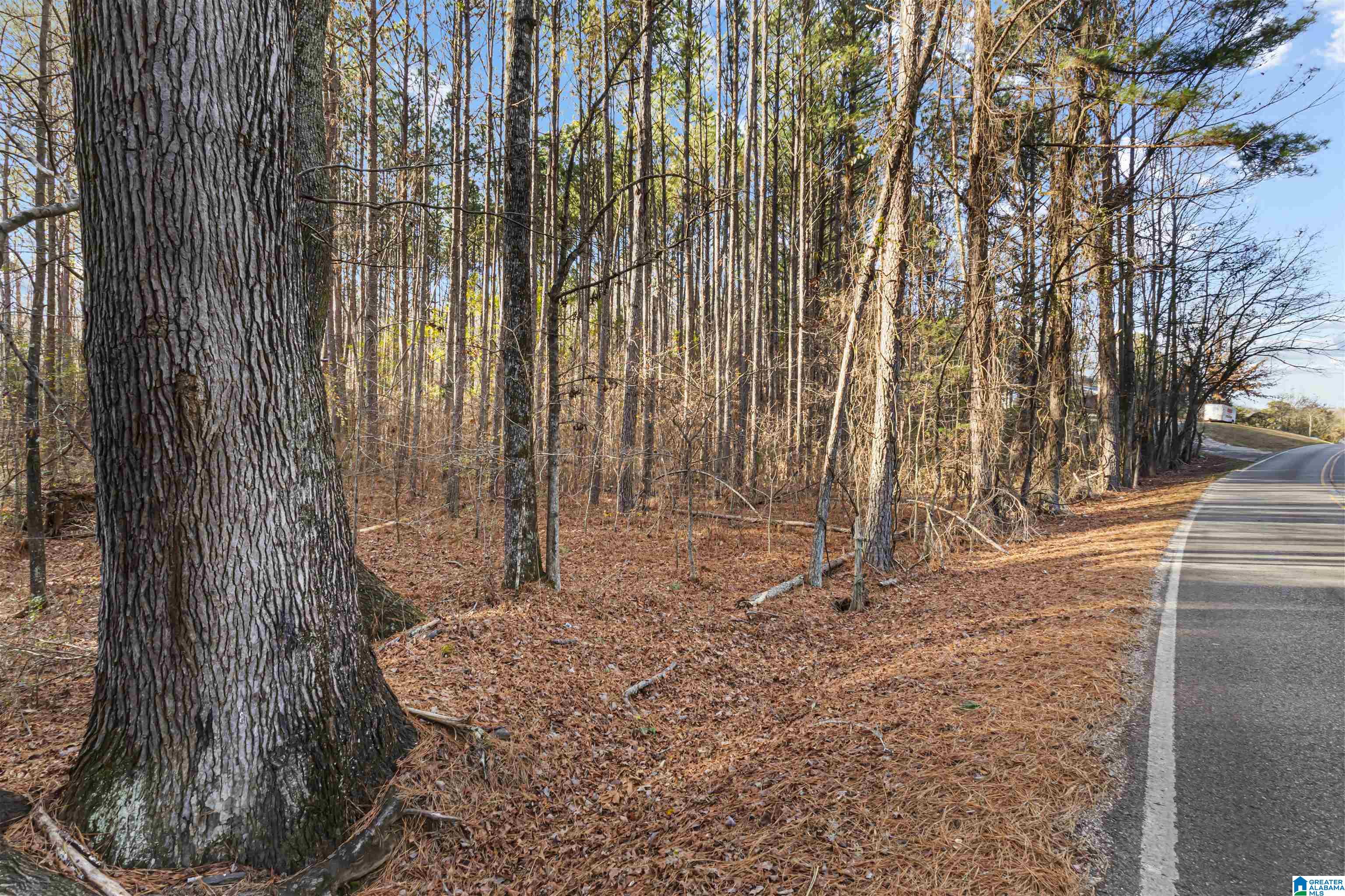 Homes for sale in Jacksonville, AL | 849 Hollingsworth Road, Jacksonville, AL 36265 | MLS# 21439049