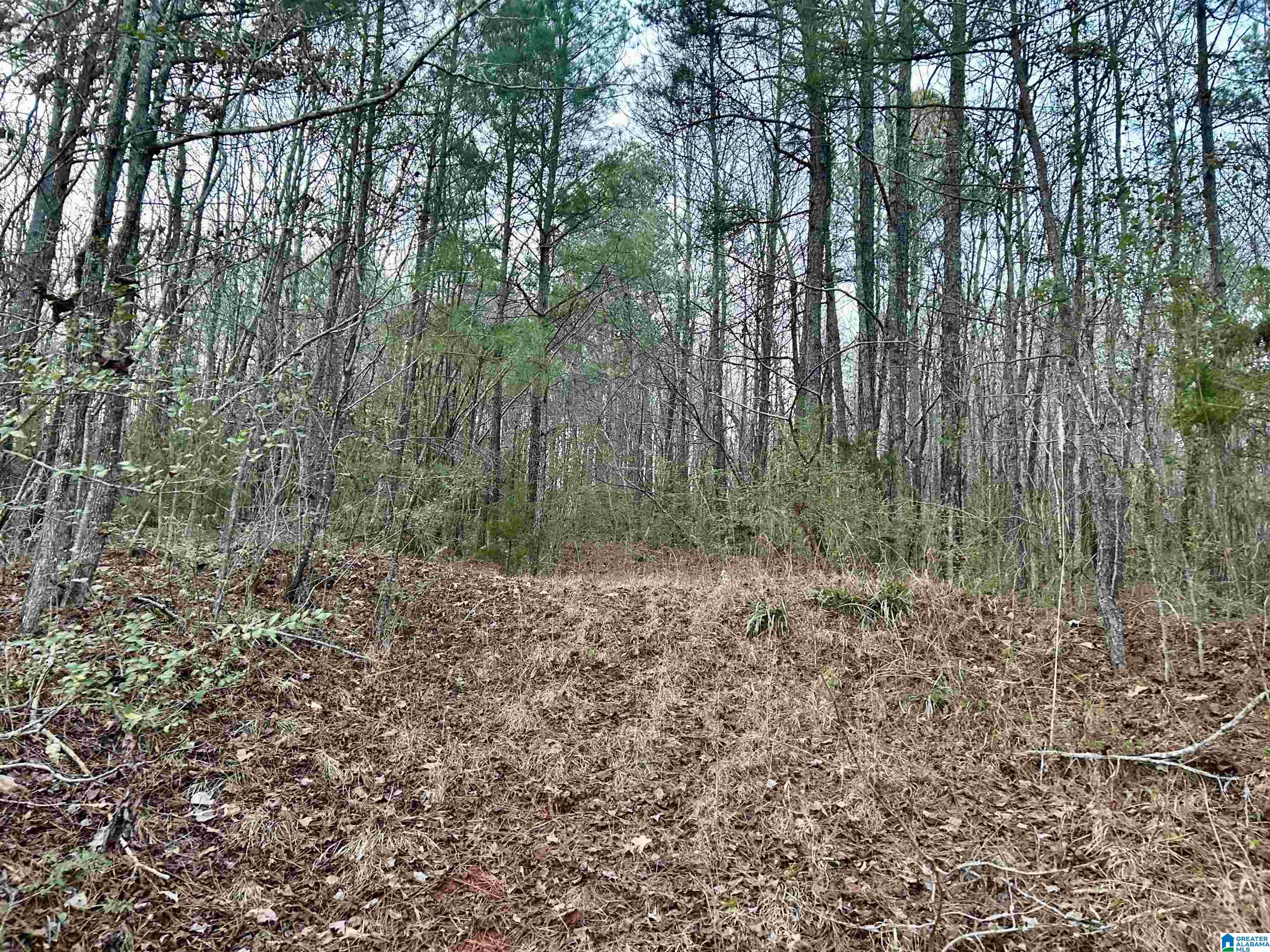 Homes for sale in Odenville, AL | 0 Hill Street, Odenville, AL 35120 | MLS# 21439187