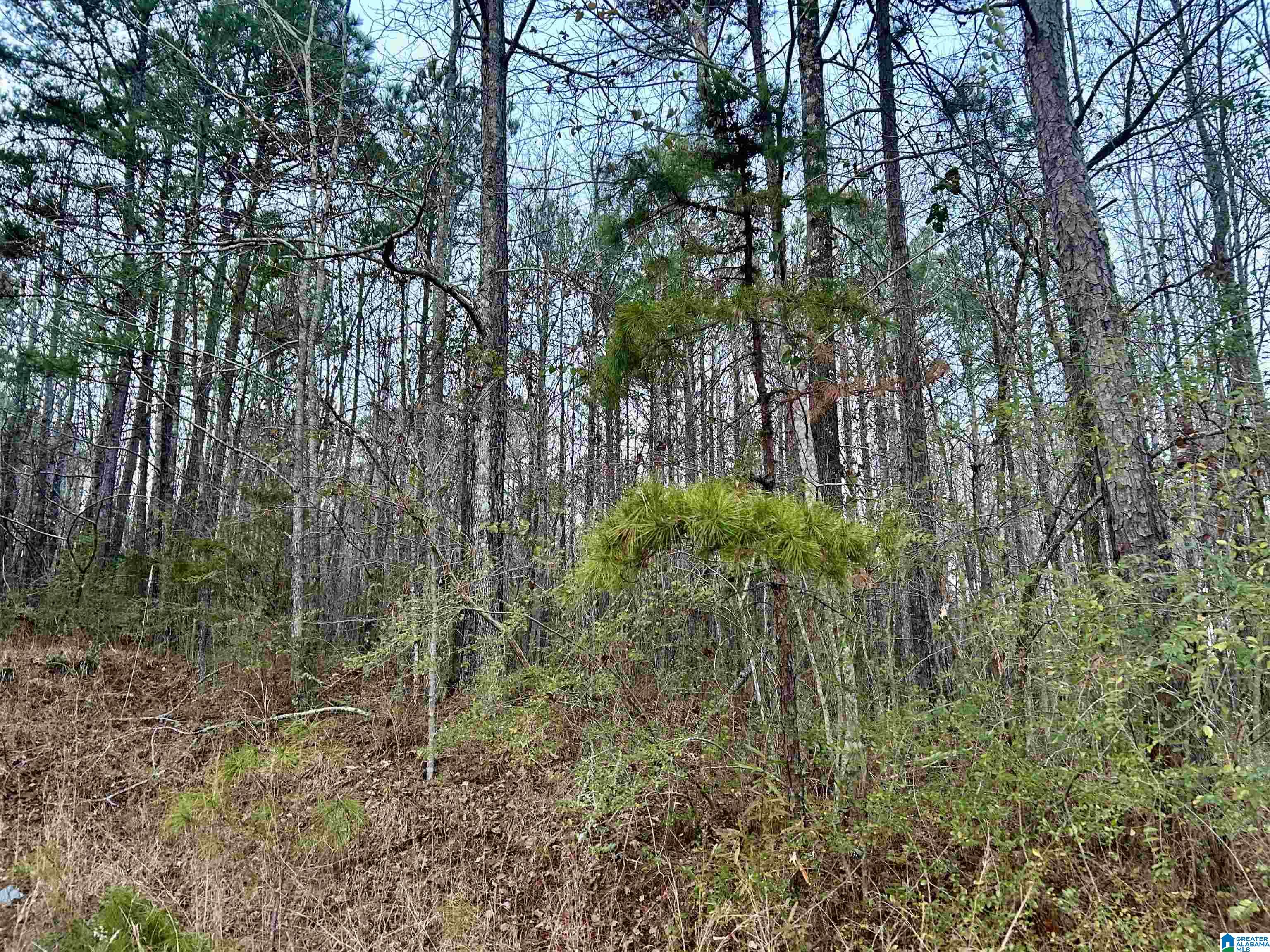 Homes for sale in Odenville, AL | 0 Hill Street, Odenville, AL 35120 | MLS# 21439187