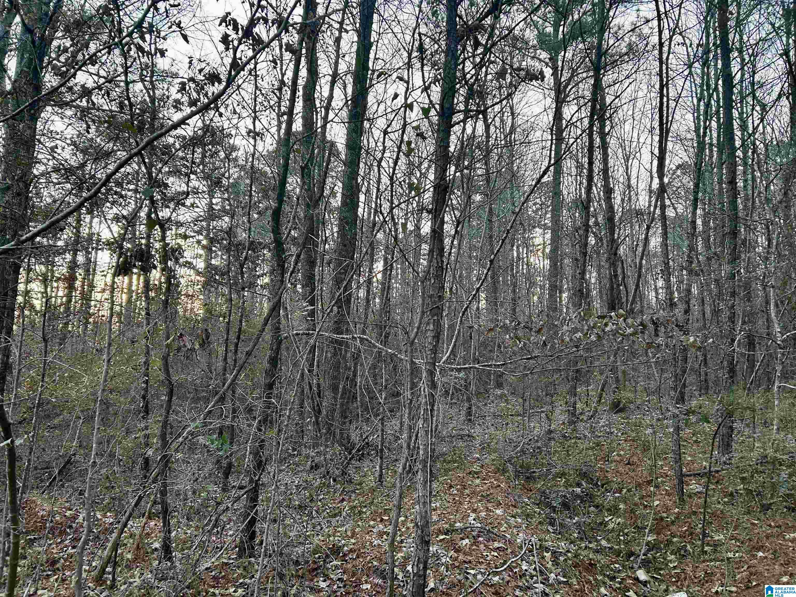 Homes for sale in Odenville, AL | 0 Hill Street, Odenville, AL 35120 | MLS# 21439187