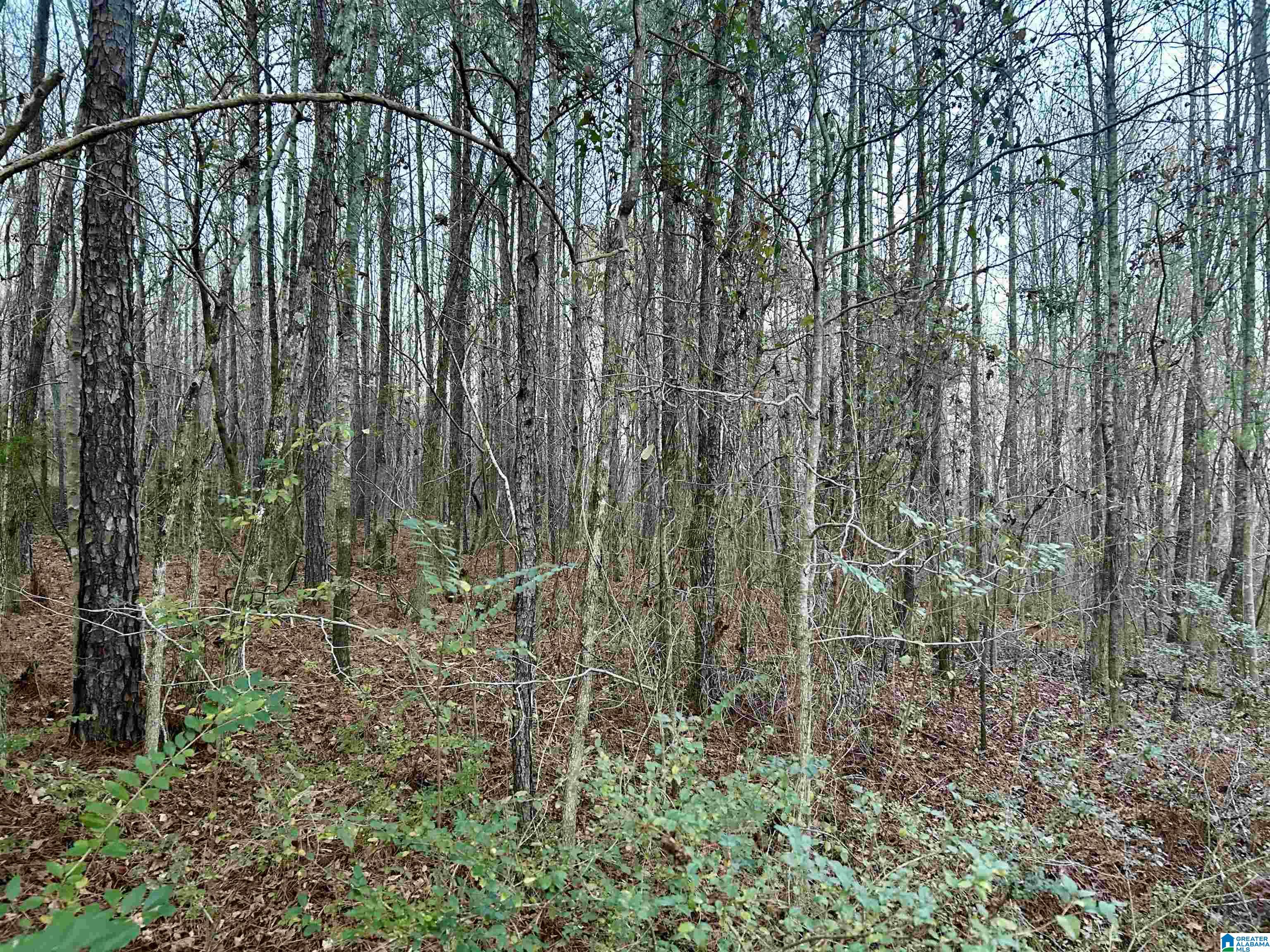 Homes for sale in Odenville, AL | 0 Hill Street, Odenville, AL 35120 | MLS# 21439187