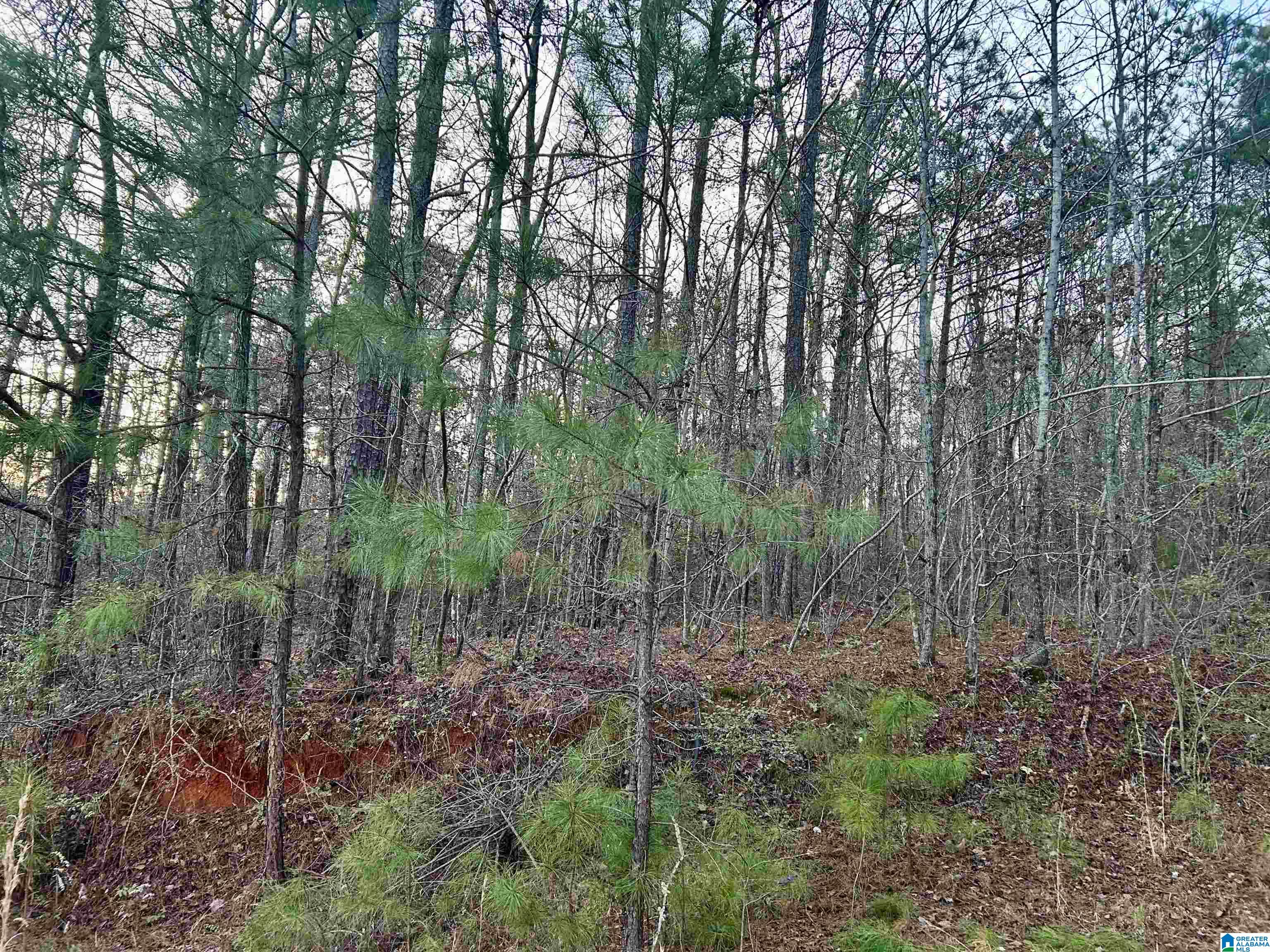 Homes for sale in Odenville, AL | 0 Hill Street, Odenville, AL 35120 | MLS# 21439187