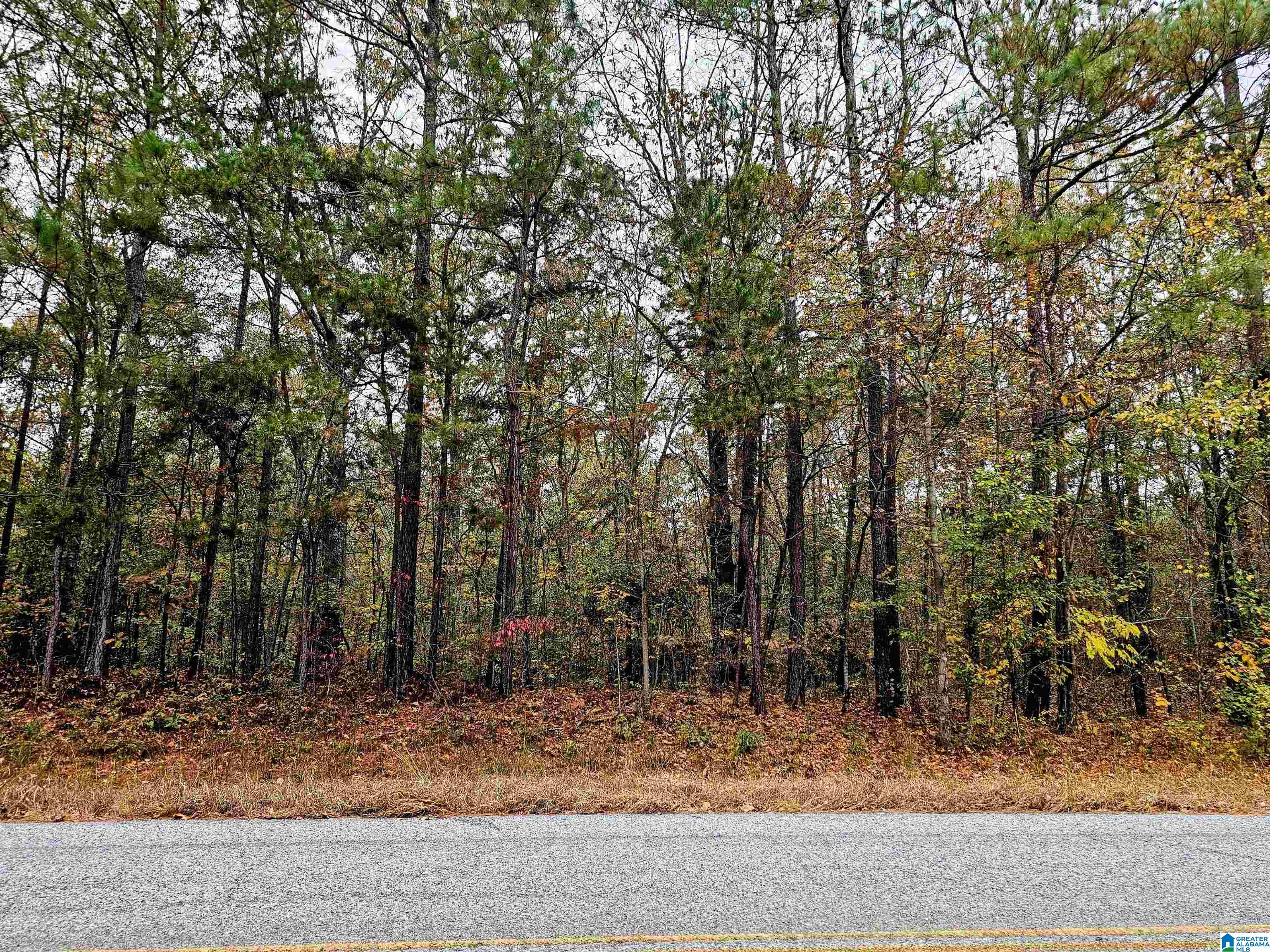 UNKN COUNTY ROAD 60
