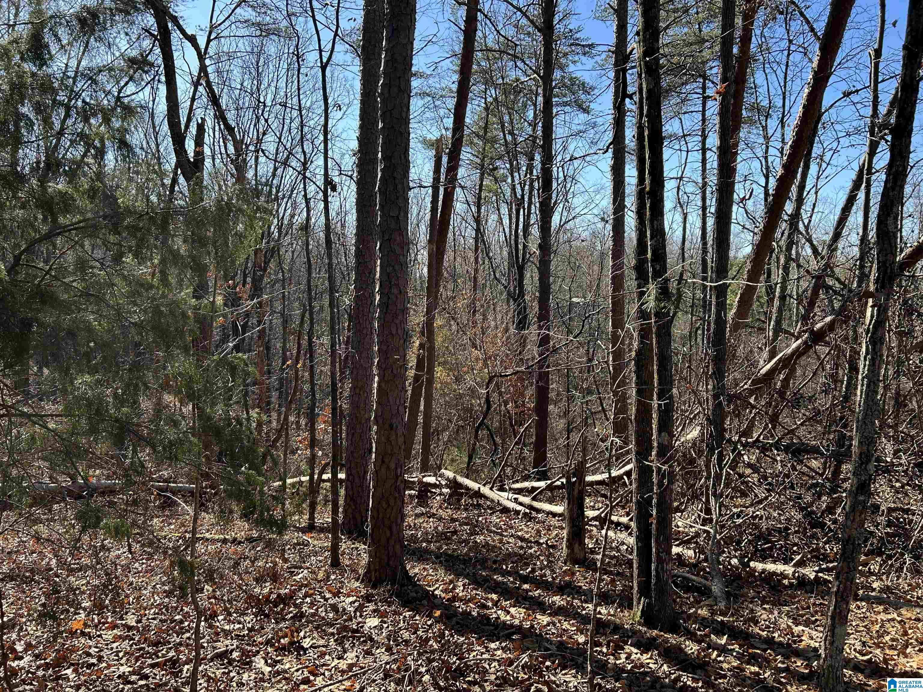 Homes for sale in Columbiana, AL | 113 N Highland Dr, Columbiana, AL 35051 | MLS# 21439222