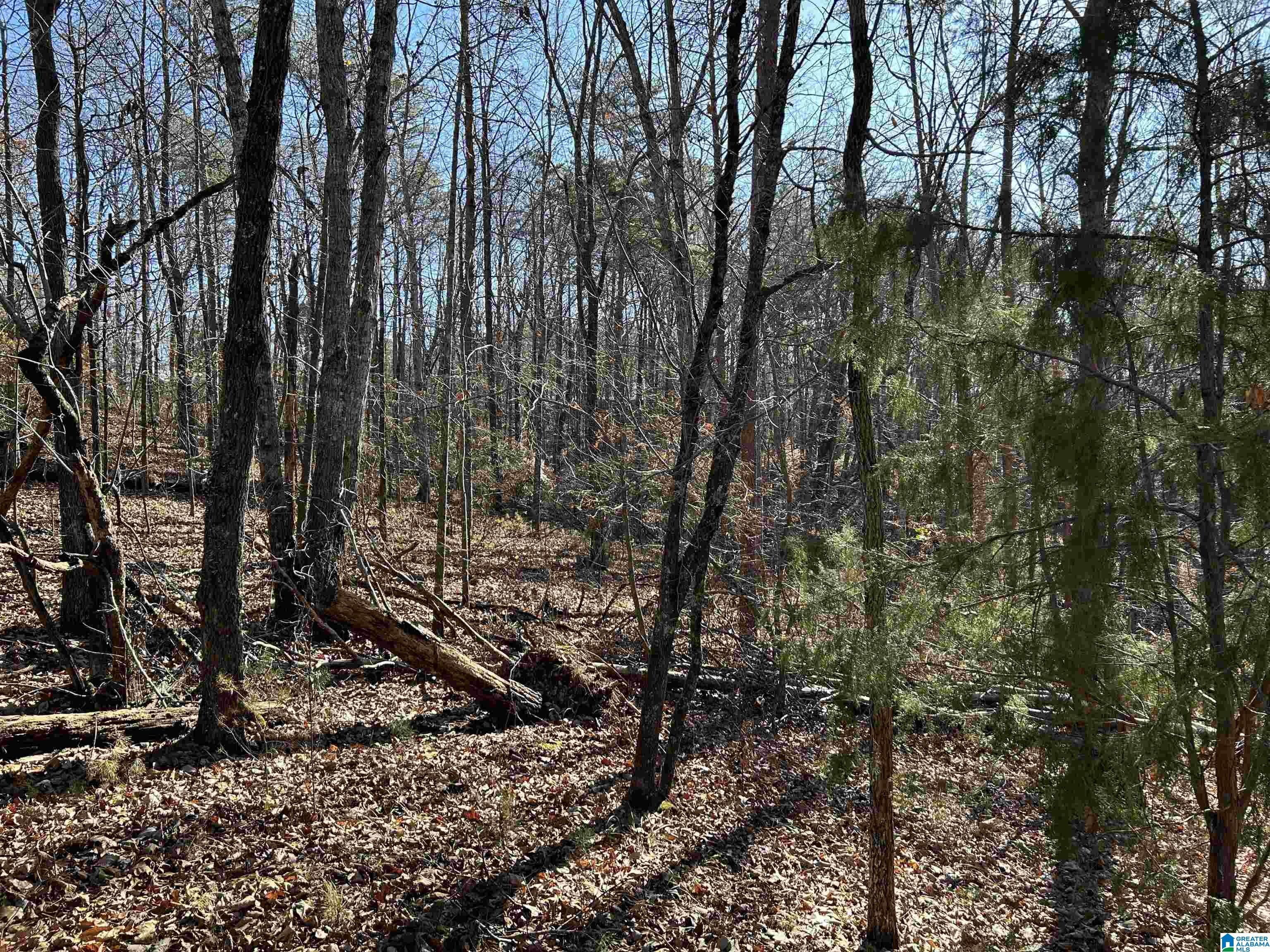 Homes for sale in Columbiana, AL | 113 N Highland Dr, Columbiana, AL 35051 | MLS# 21439222