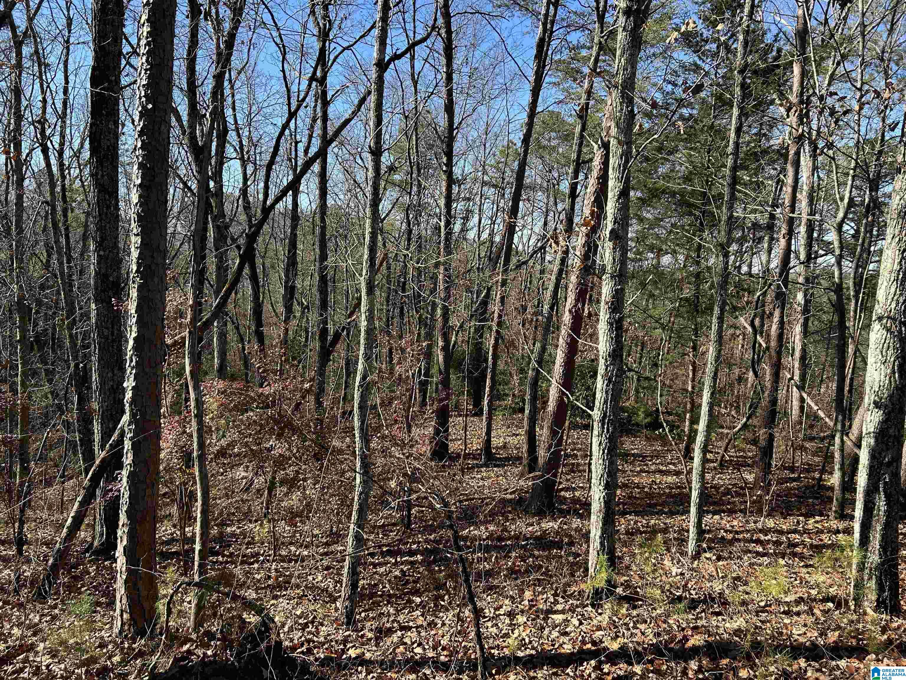 Homes for sale in Columbiana, AL | 111 N Highland Dr, Columbiana, AL 35051 | MLS# 21439223